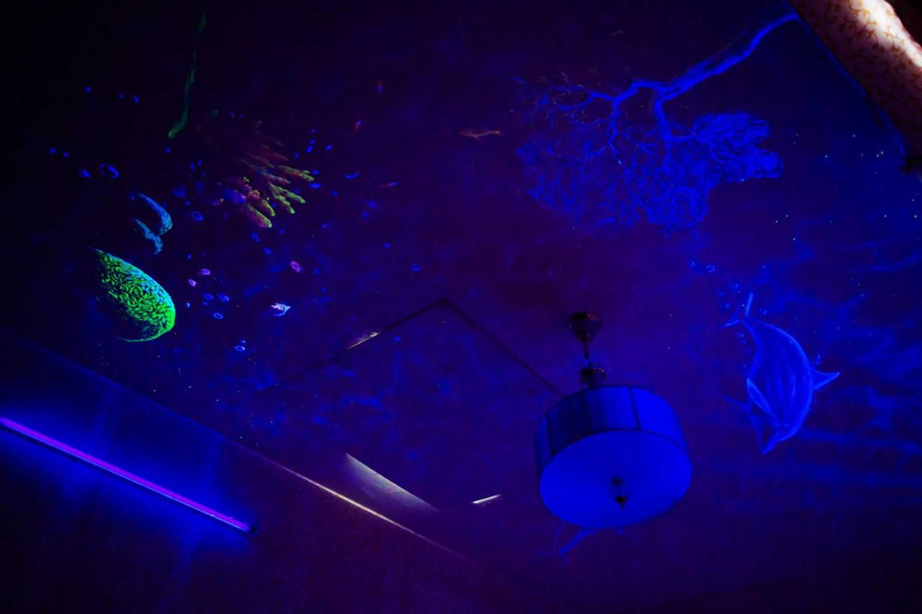 Gift card for Miaoli Sanyi Bo Wu Guan Homestay