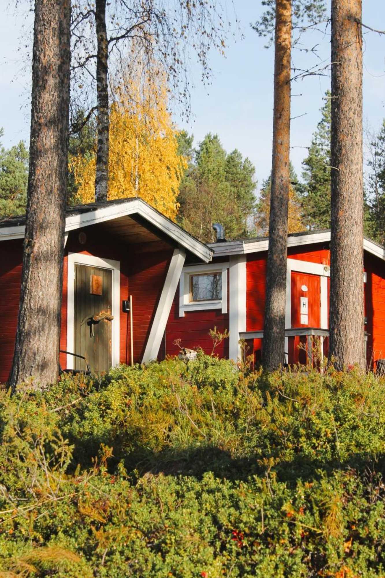 Gift card for Ivalo River Camping