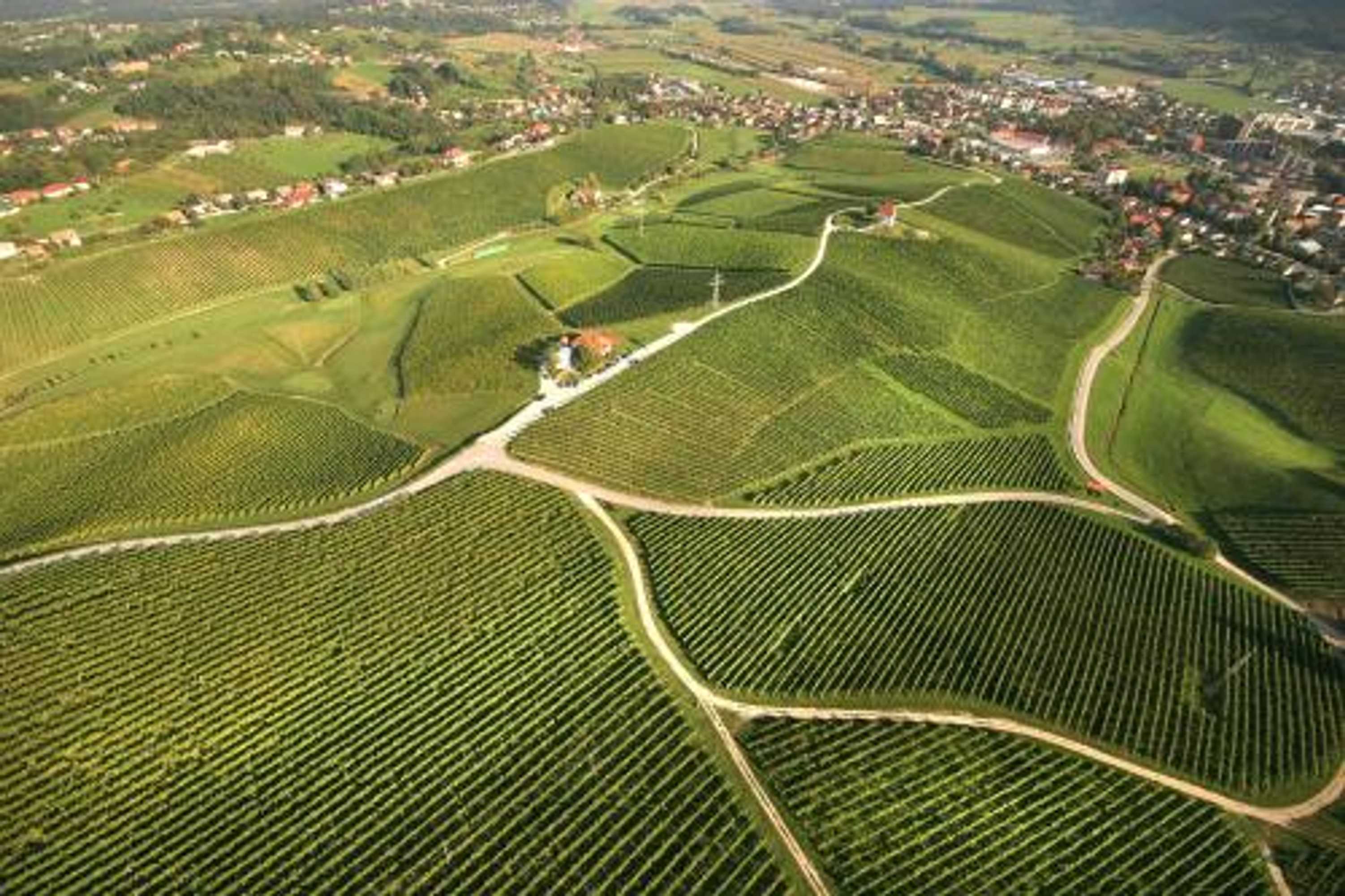 Gift card for Wine Grower's Mansion Zlati Gric Gift card for Wine Grower's Mansion Zlati Gric