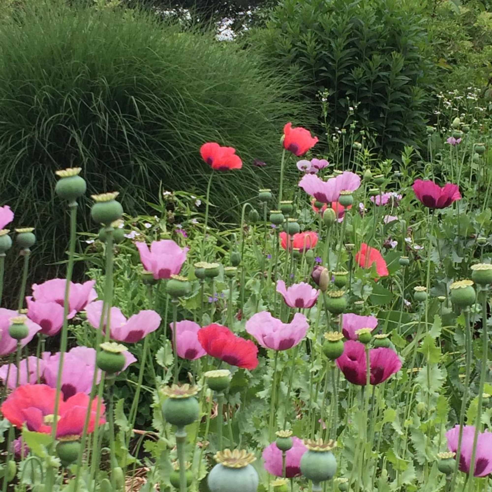 Gift card for Bed And Garden D’alde Coninckshof