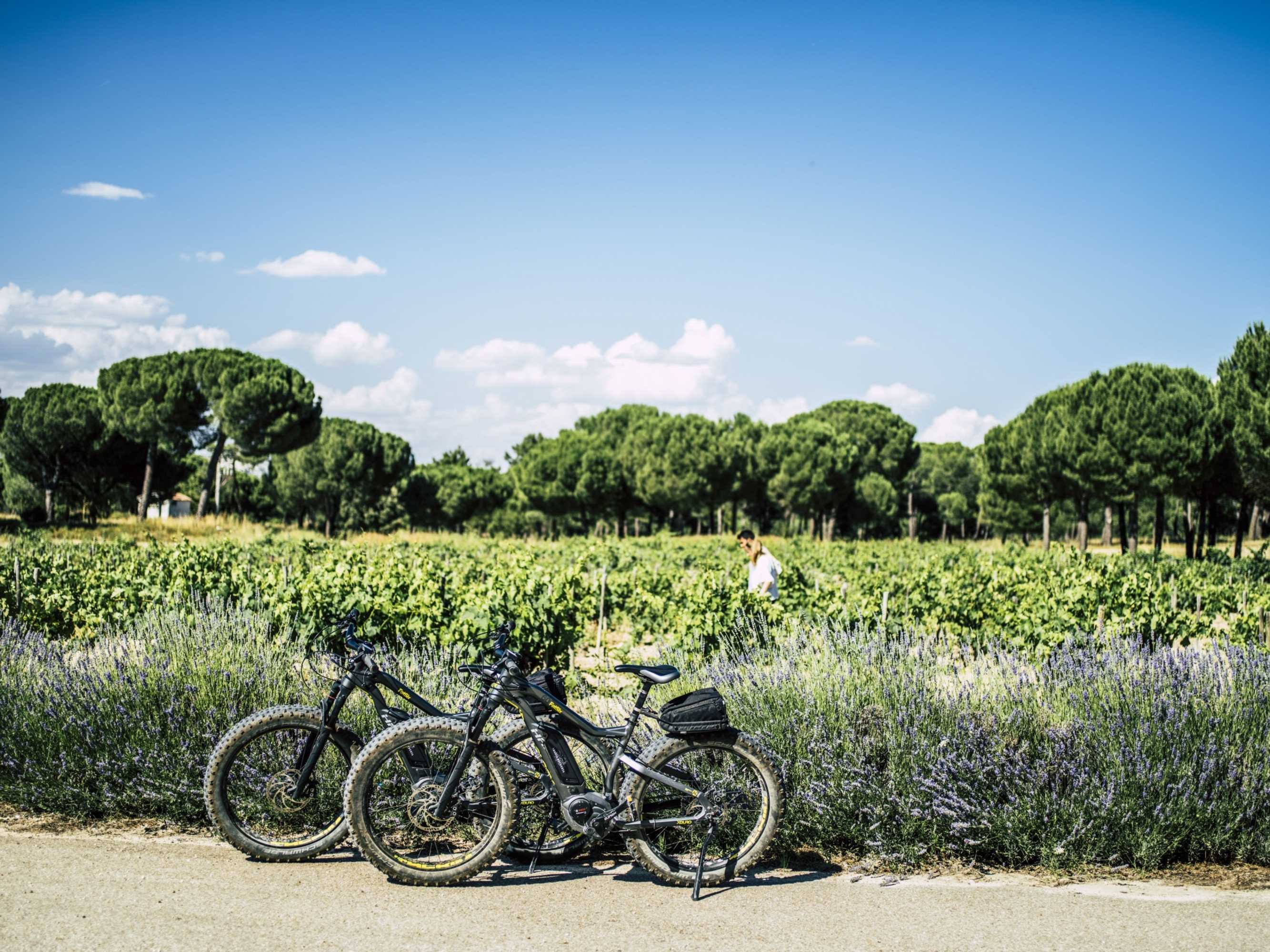 Gift card for Abadia Retuerta Ledomaine Gift card for Abadia Retuerta Ledomaine