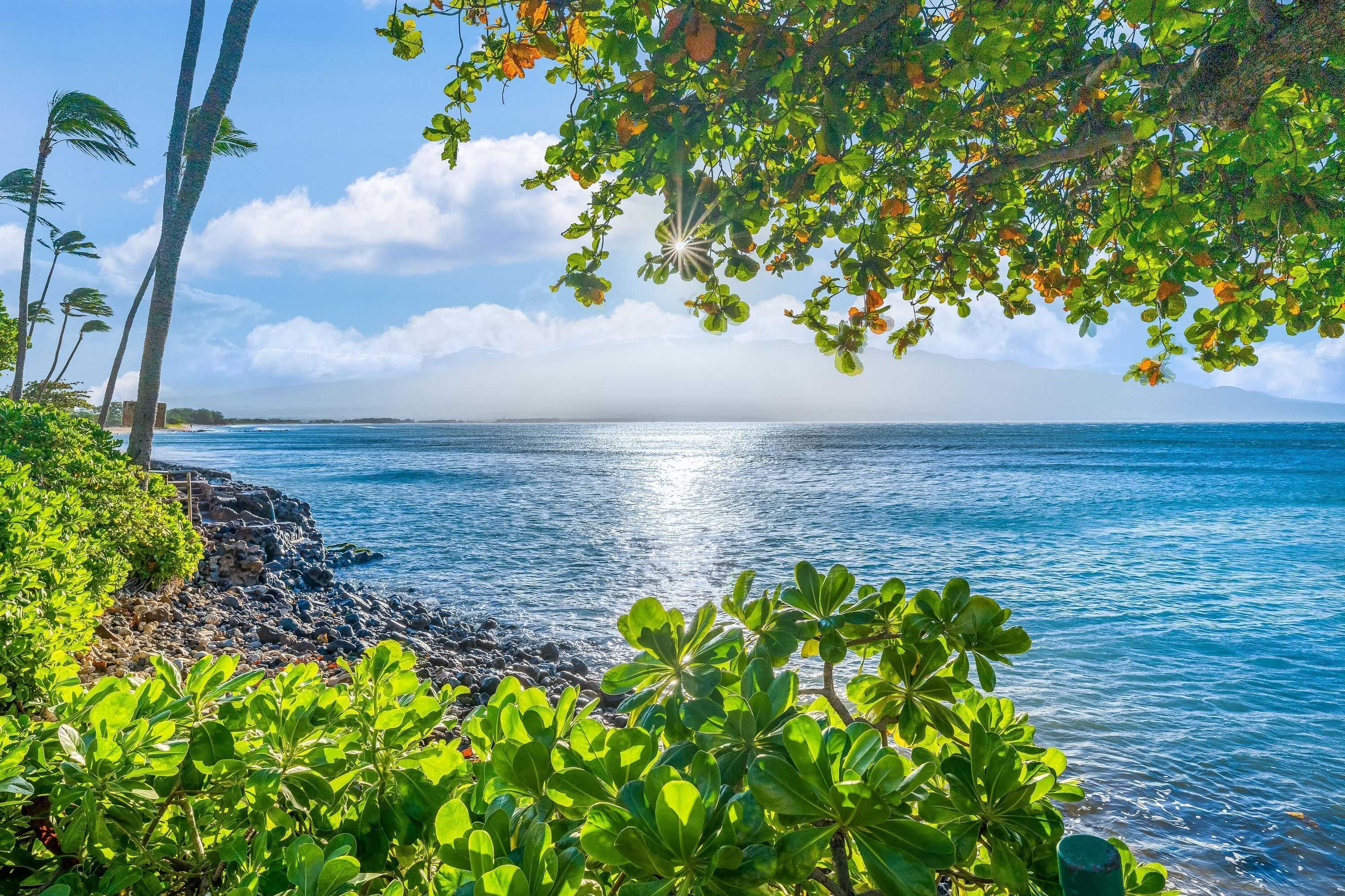 Gift card for Kanai A Nalu Resort 405