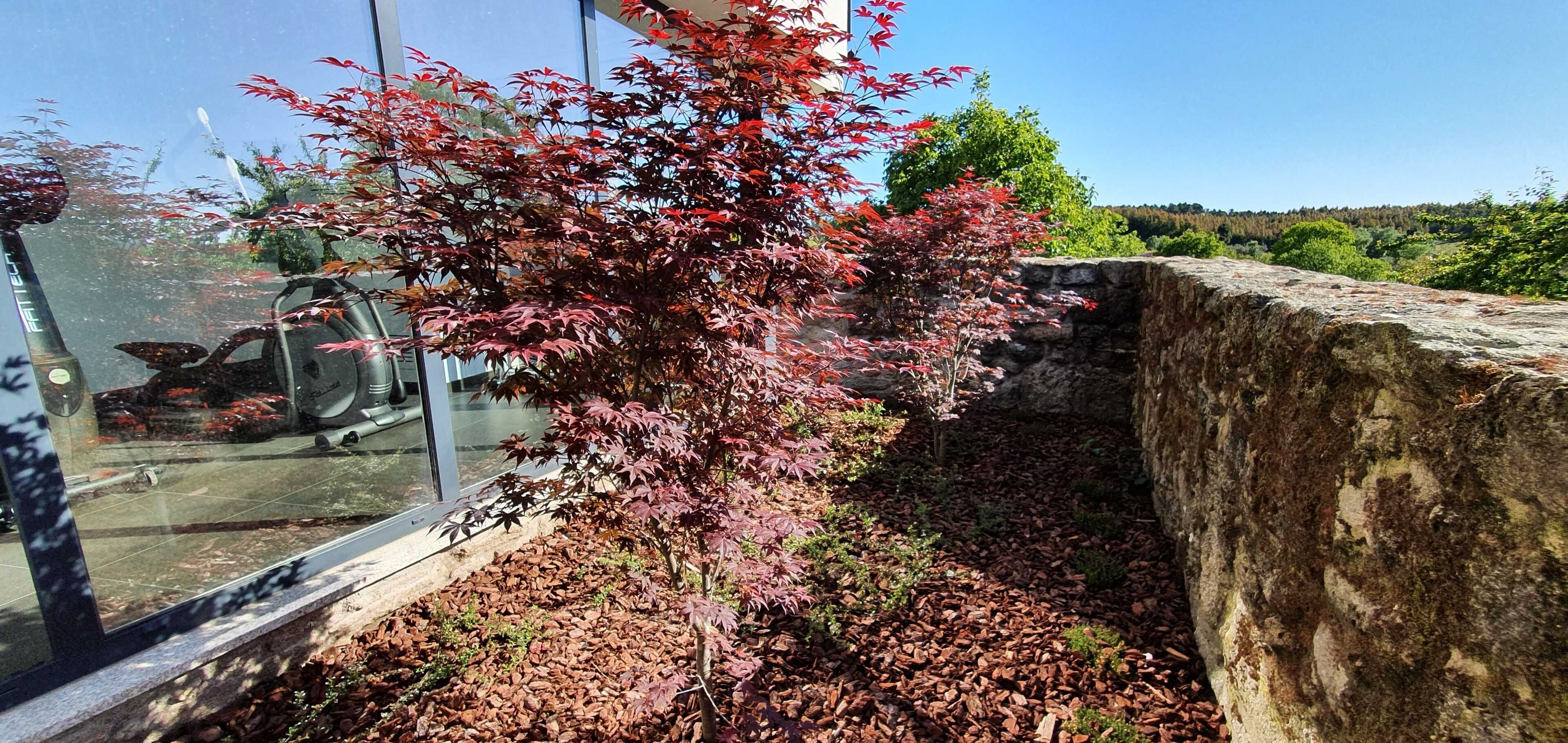 Gift card for Casas de Campo da Barroca