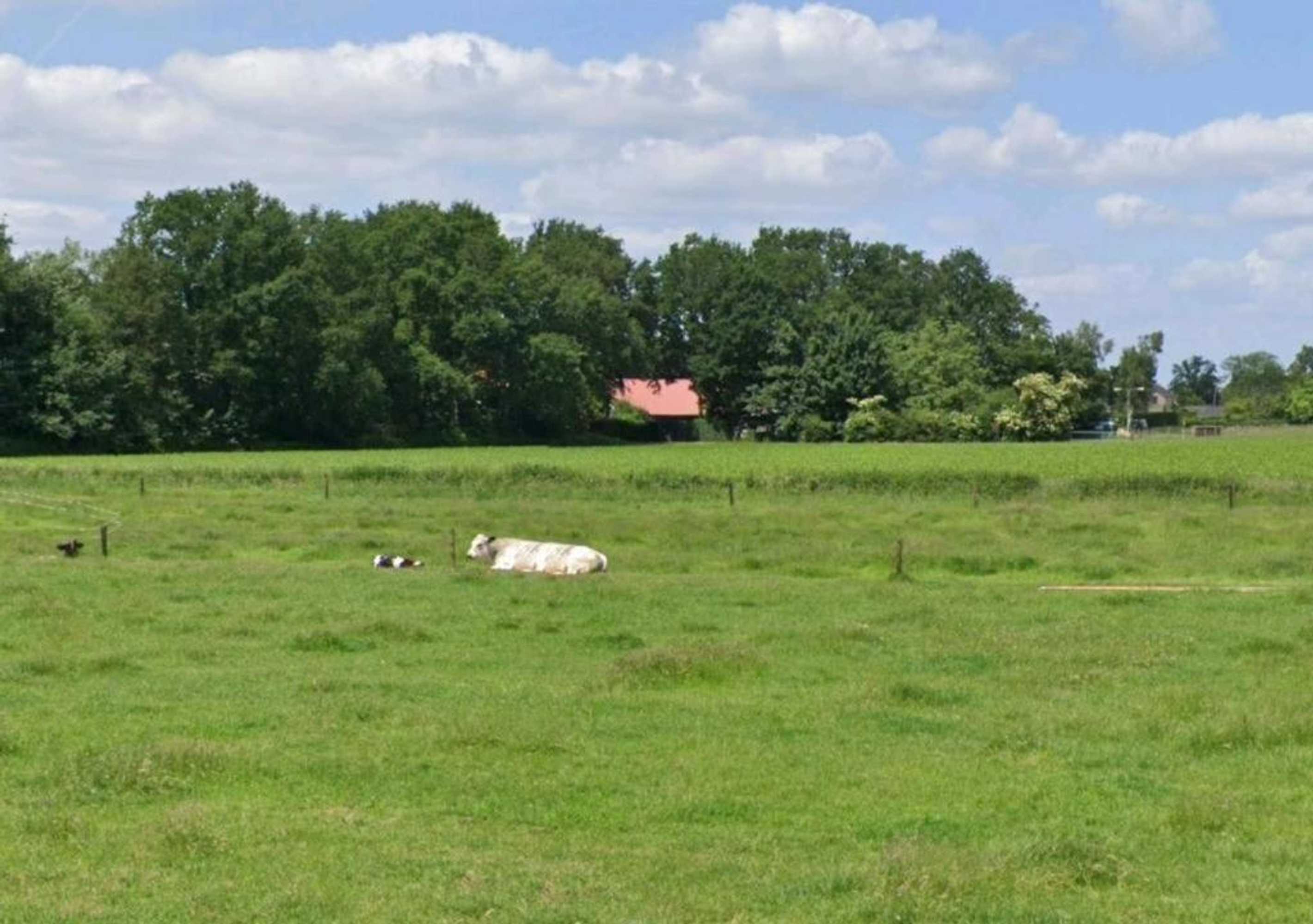 Gift card for Bed en Breakfast Boekel