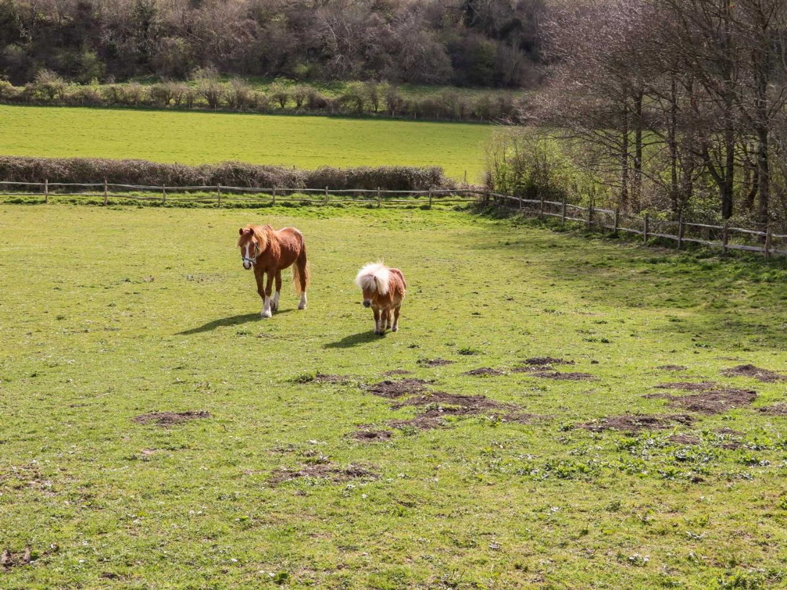 Gift card for The Granary