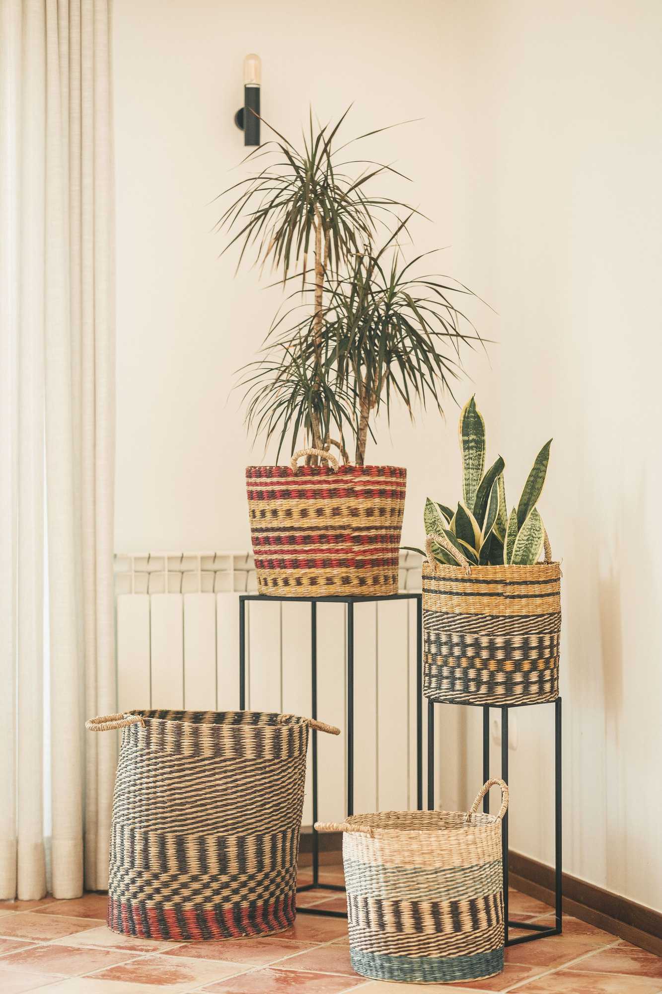 Gift card for Vale Pisco