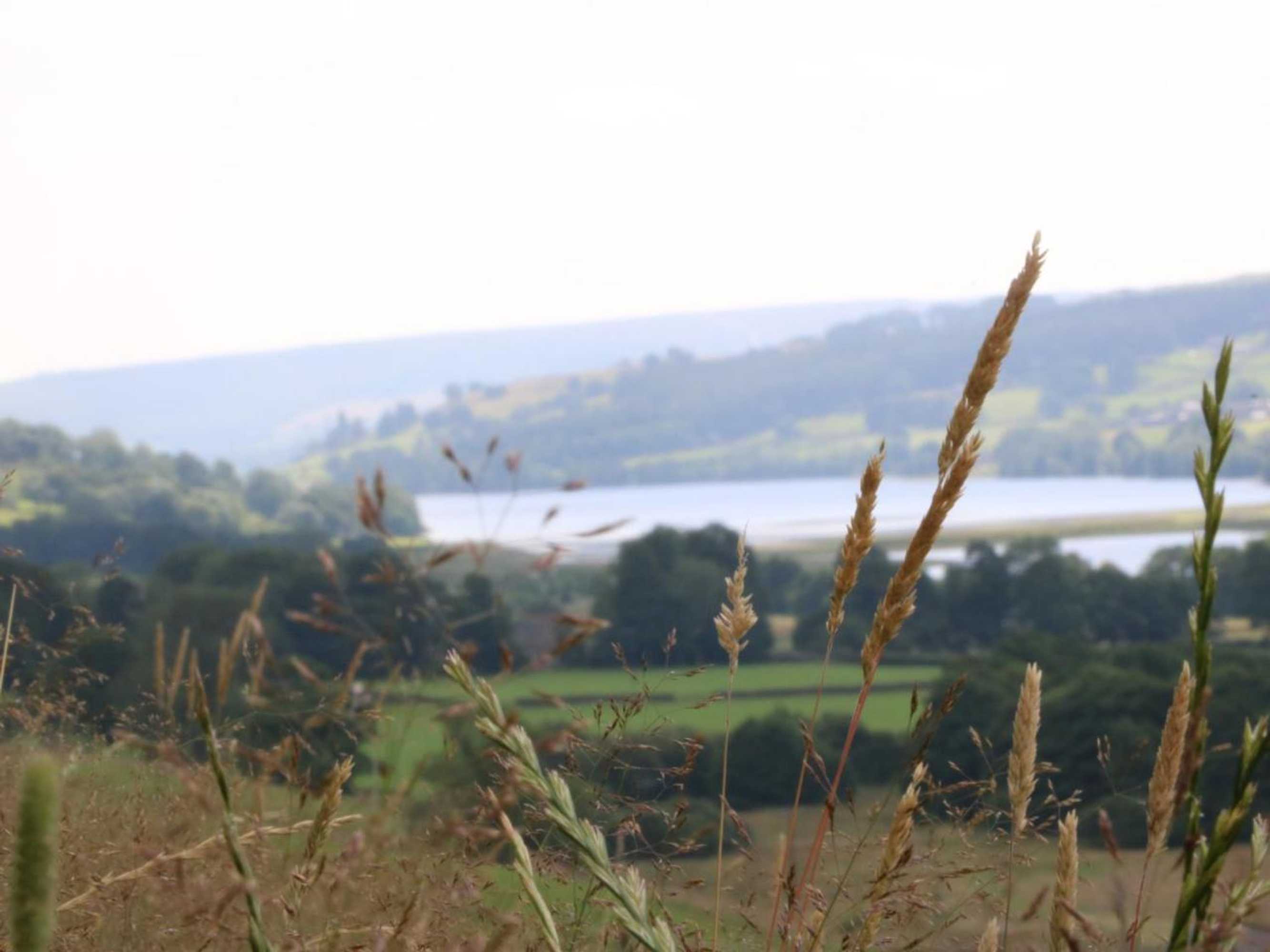 Gift card for Silver Hill Cottage