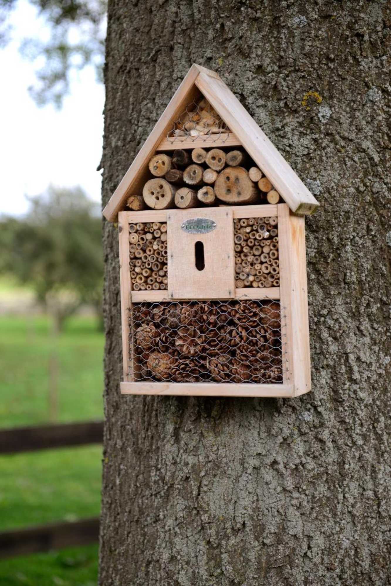 Gift card for Logies De Hessie