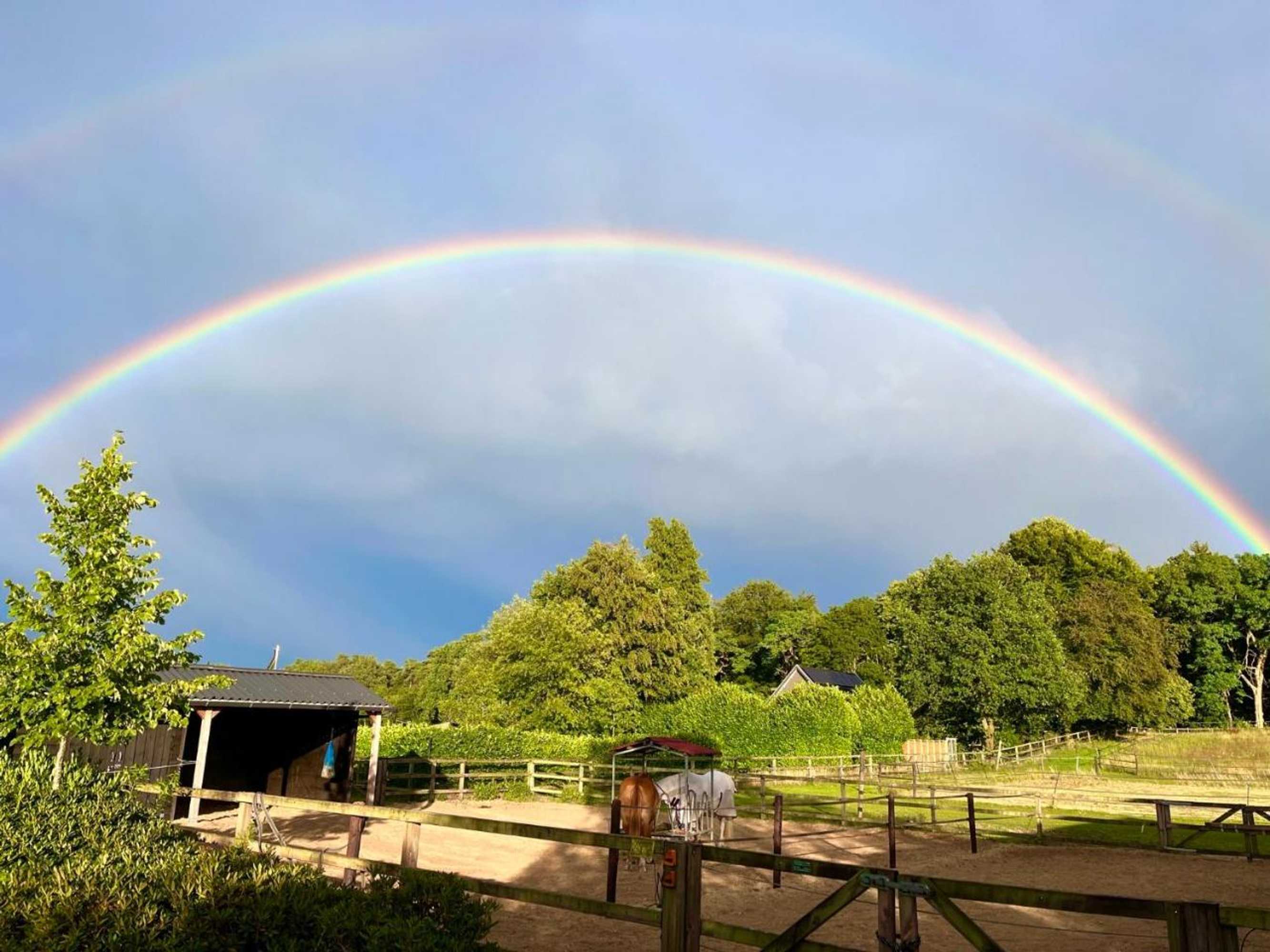 Gift card for Bed And Breakfast De Paalberg