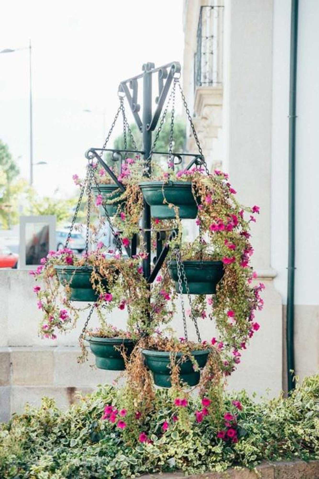 Gift card for Dona Fina Guest House