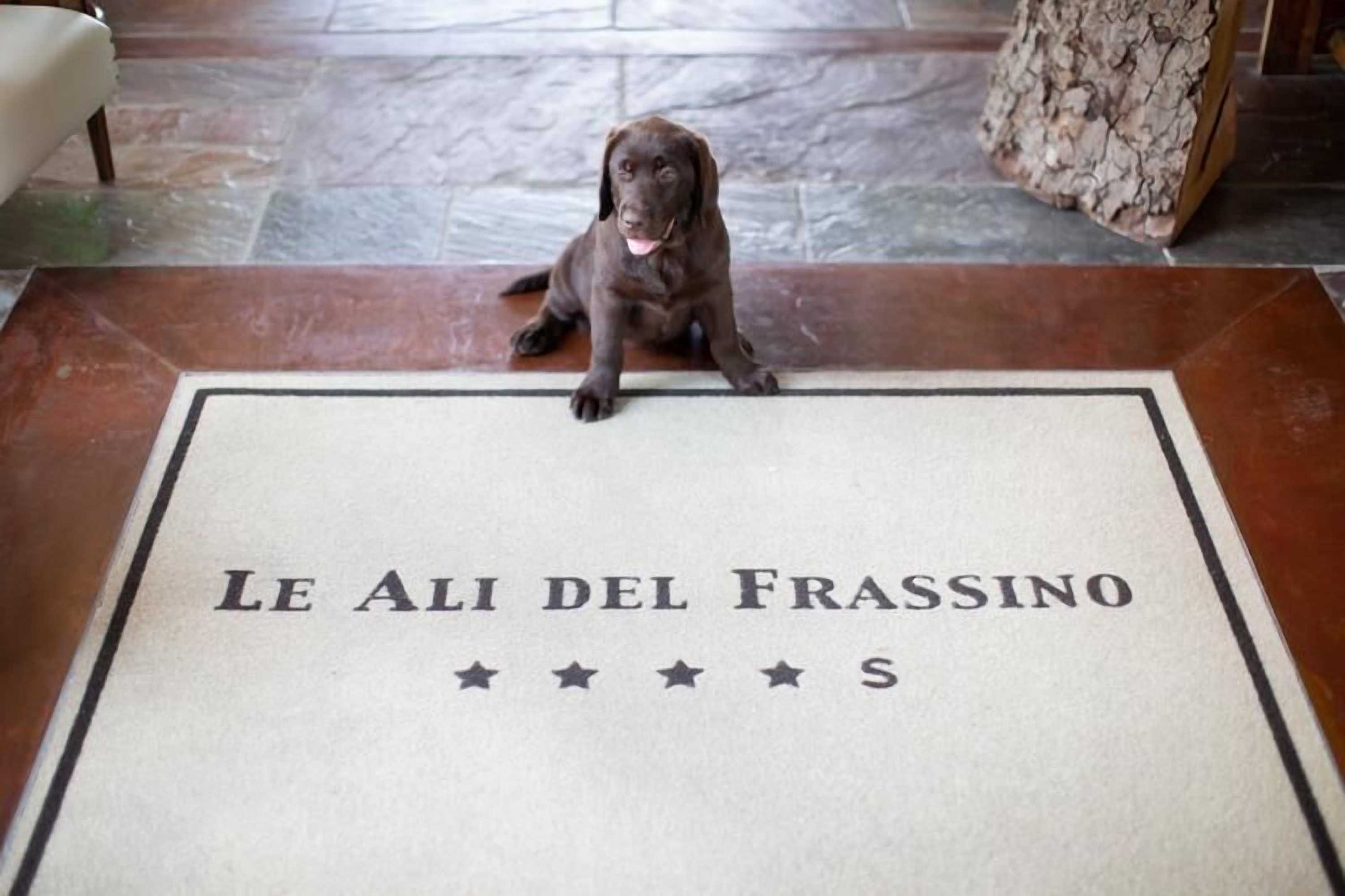 Gift card for Le Ali Del Frassino