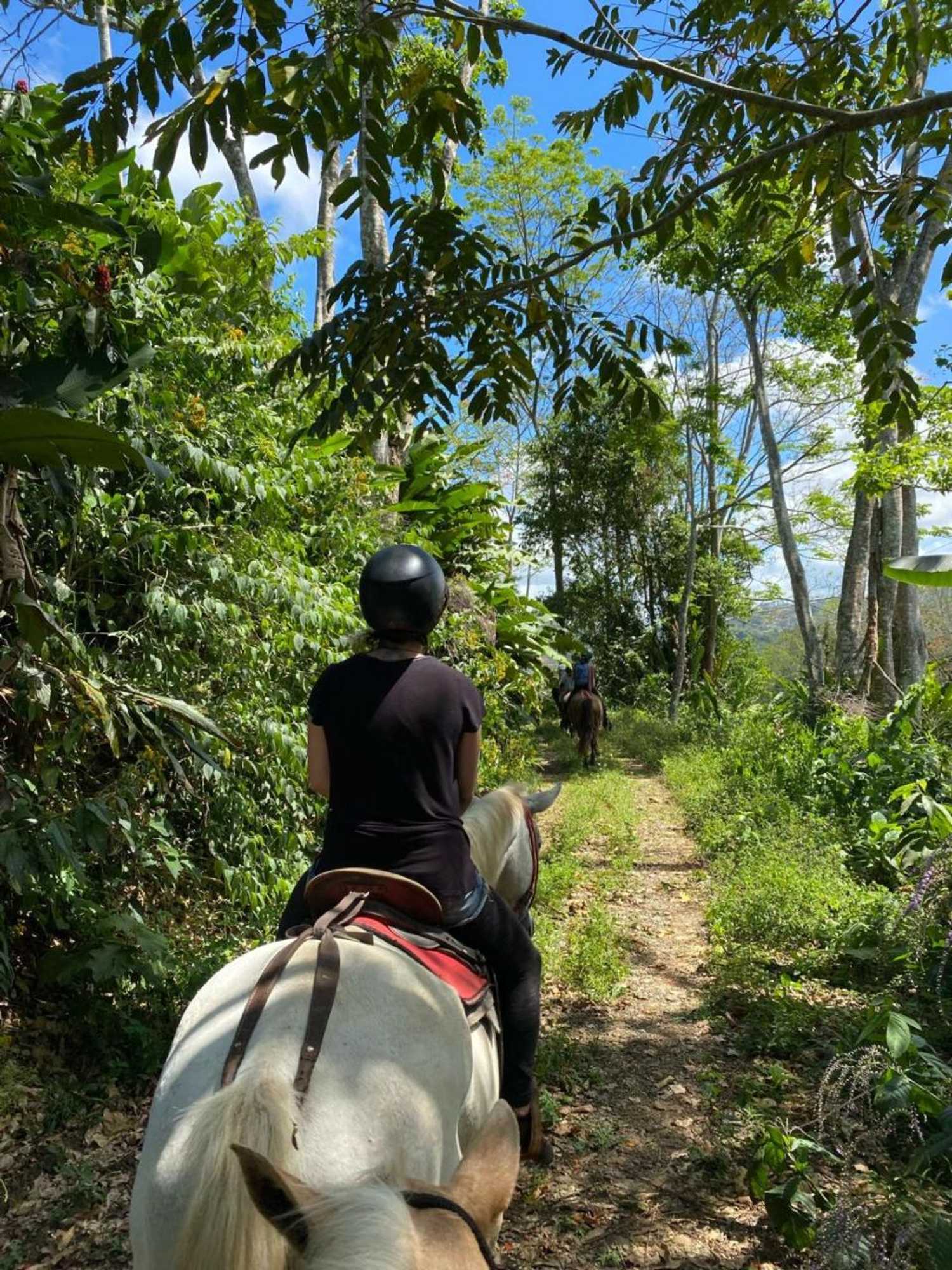 Gift card for Hacienda Monteclaro