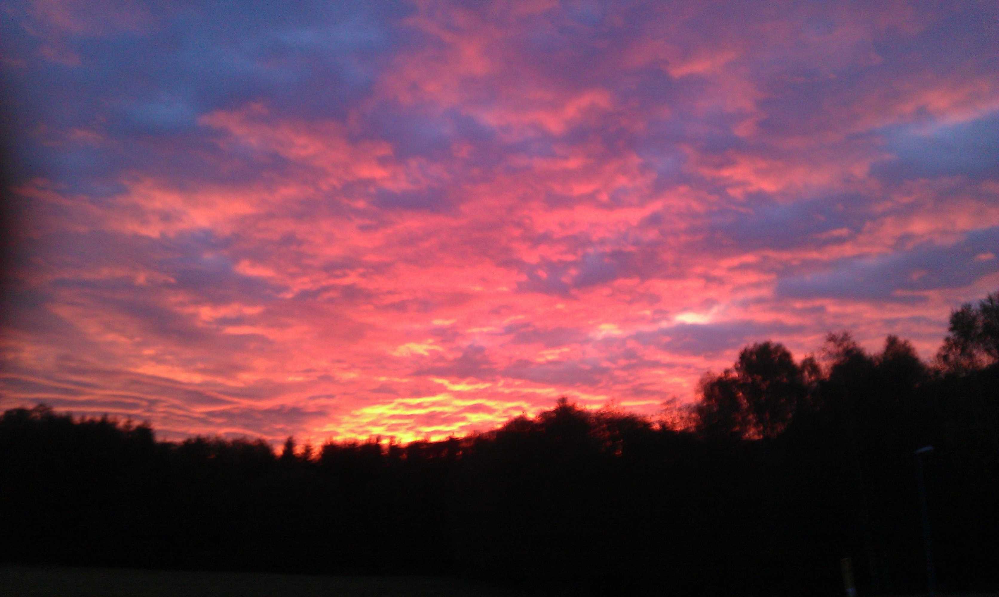 Gift card for Wildnisresidenz am Nationalpark