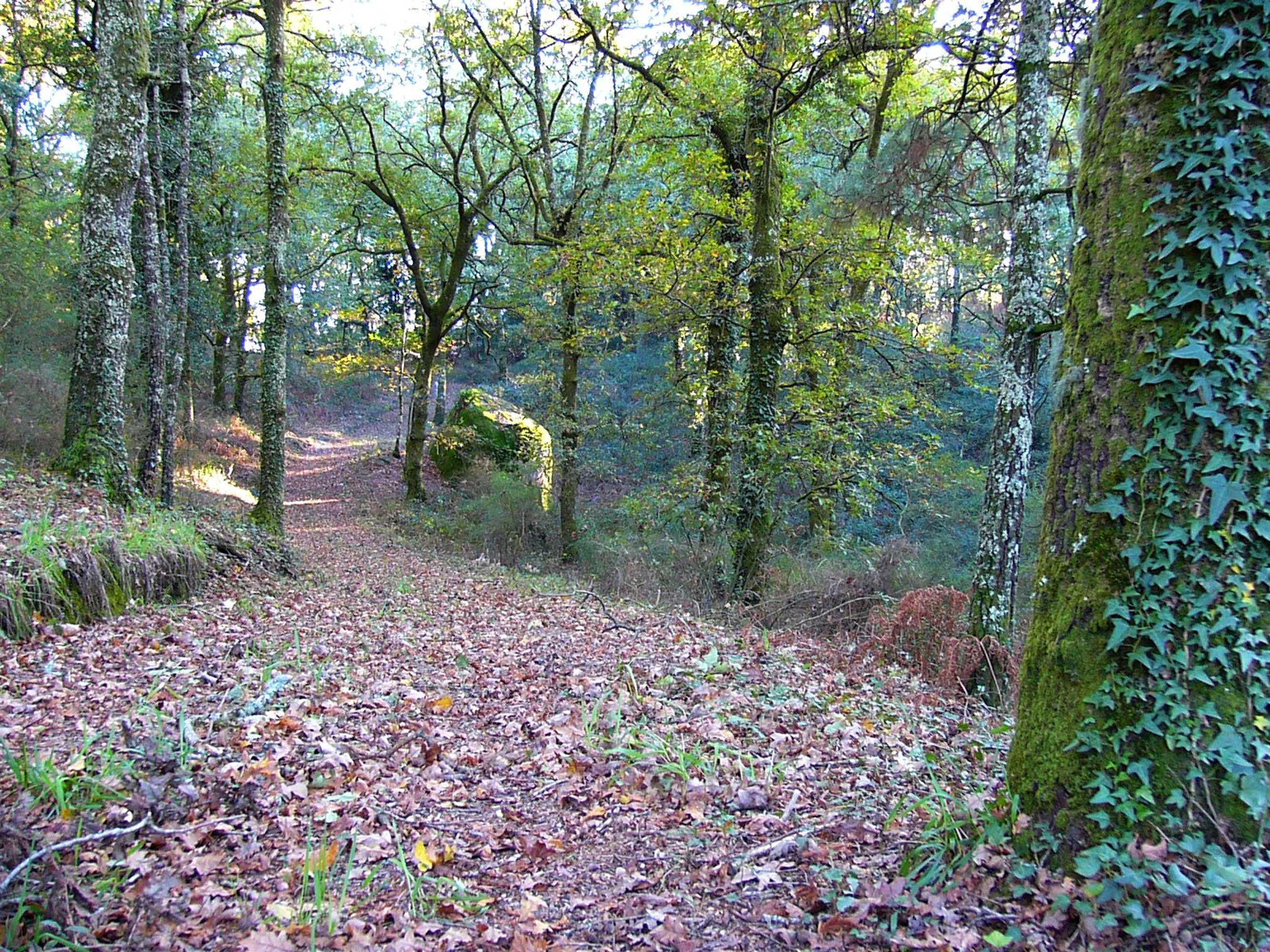 Gift card for Quinta da Prova