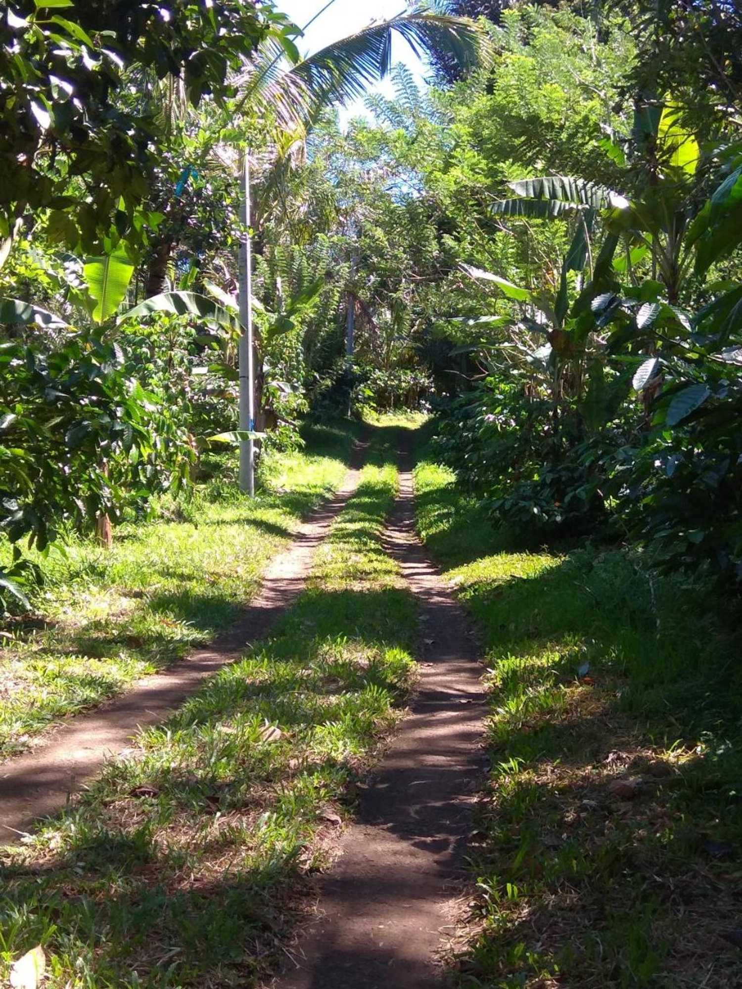 Gift card for Bali Mountain Forest Cabin