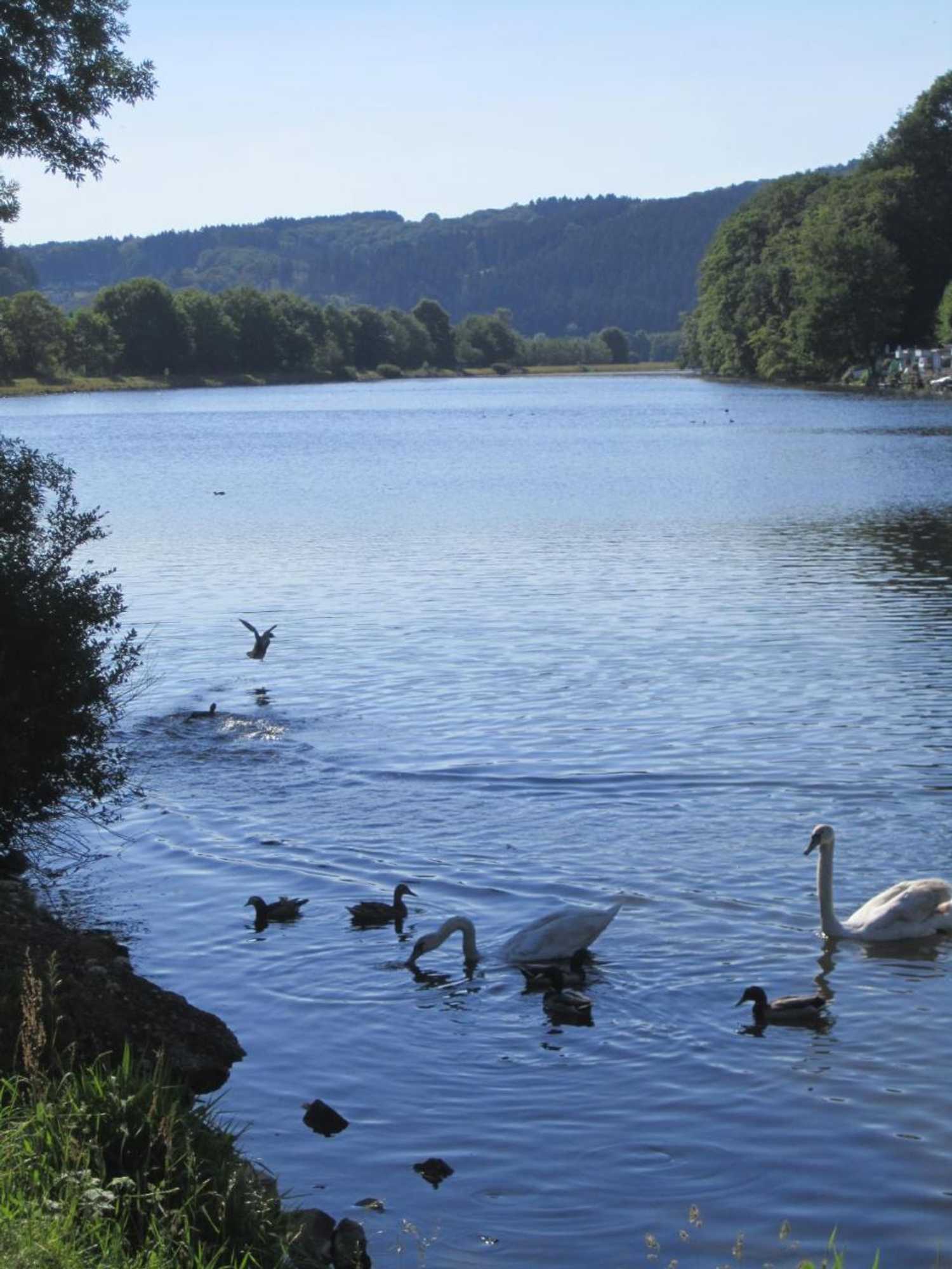 Gift card for Ferienwohnung Erlenhof