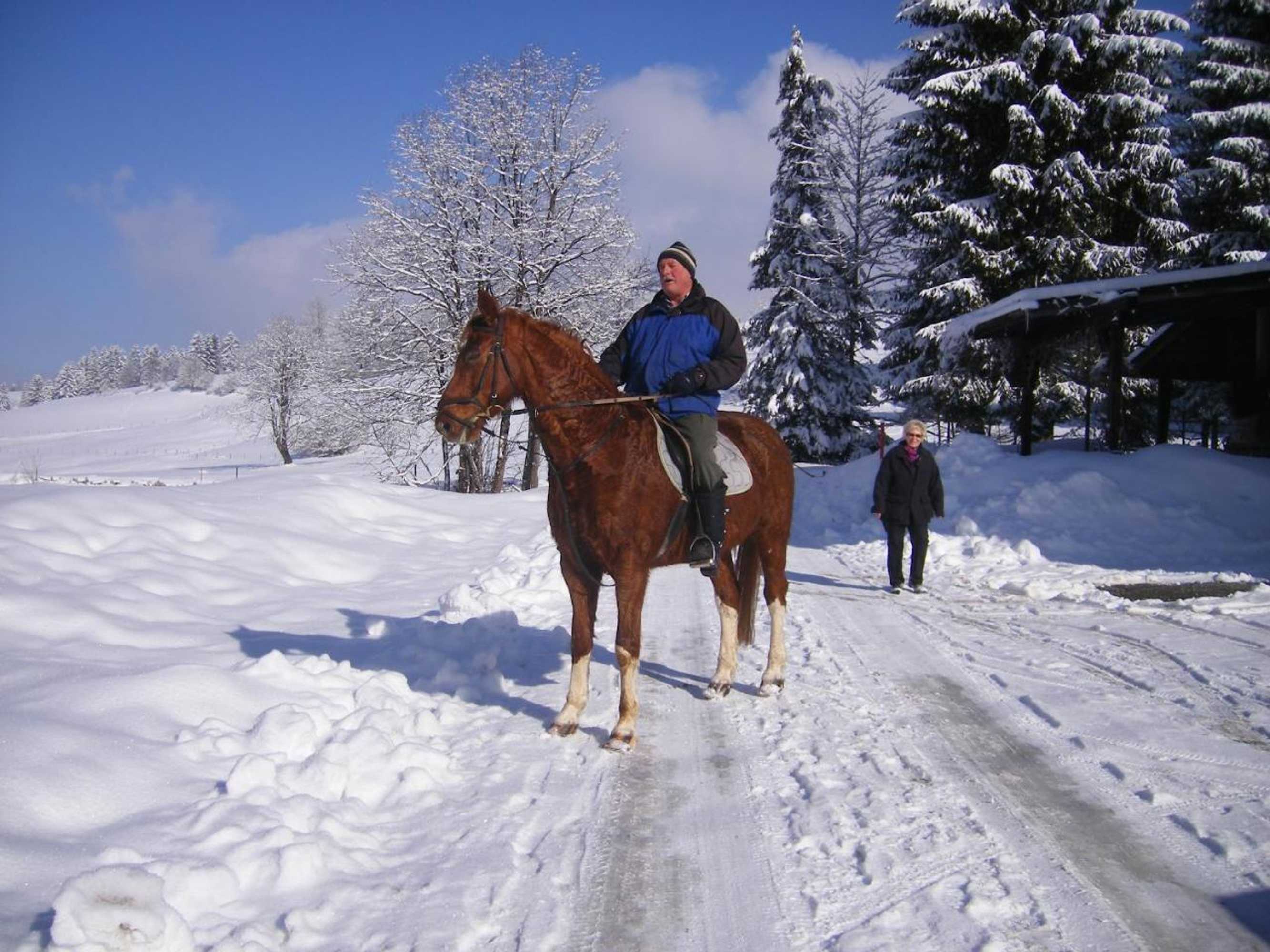 Gift card for Ferienwohnungen Frick