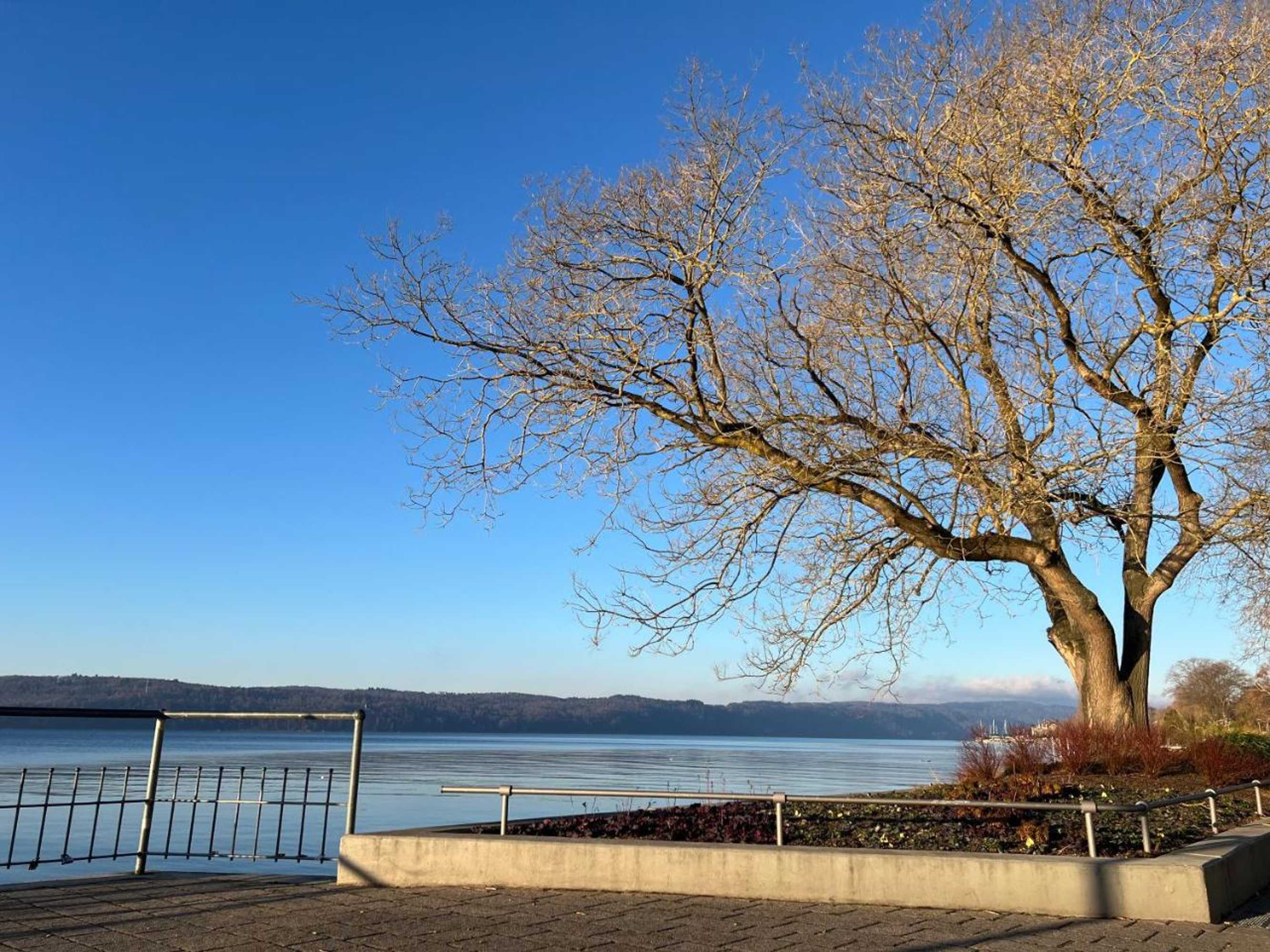 Gift card for Hotel Capri