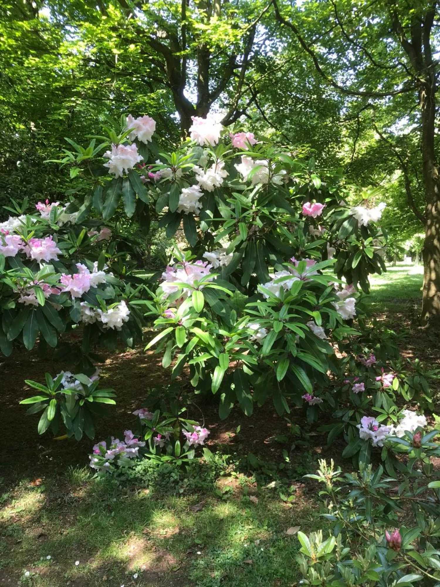 Gift card for Beryl Country House