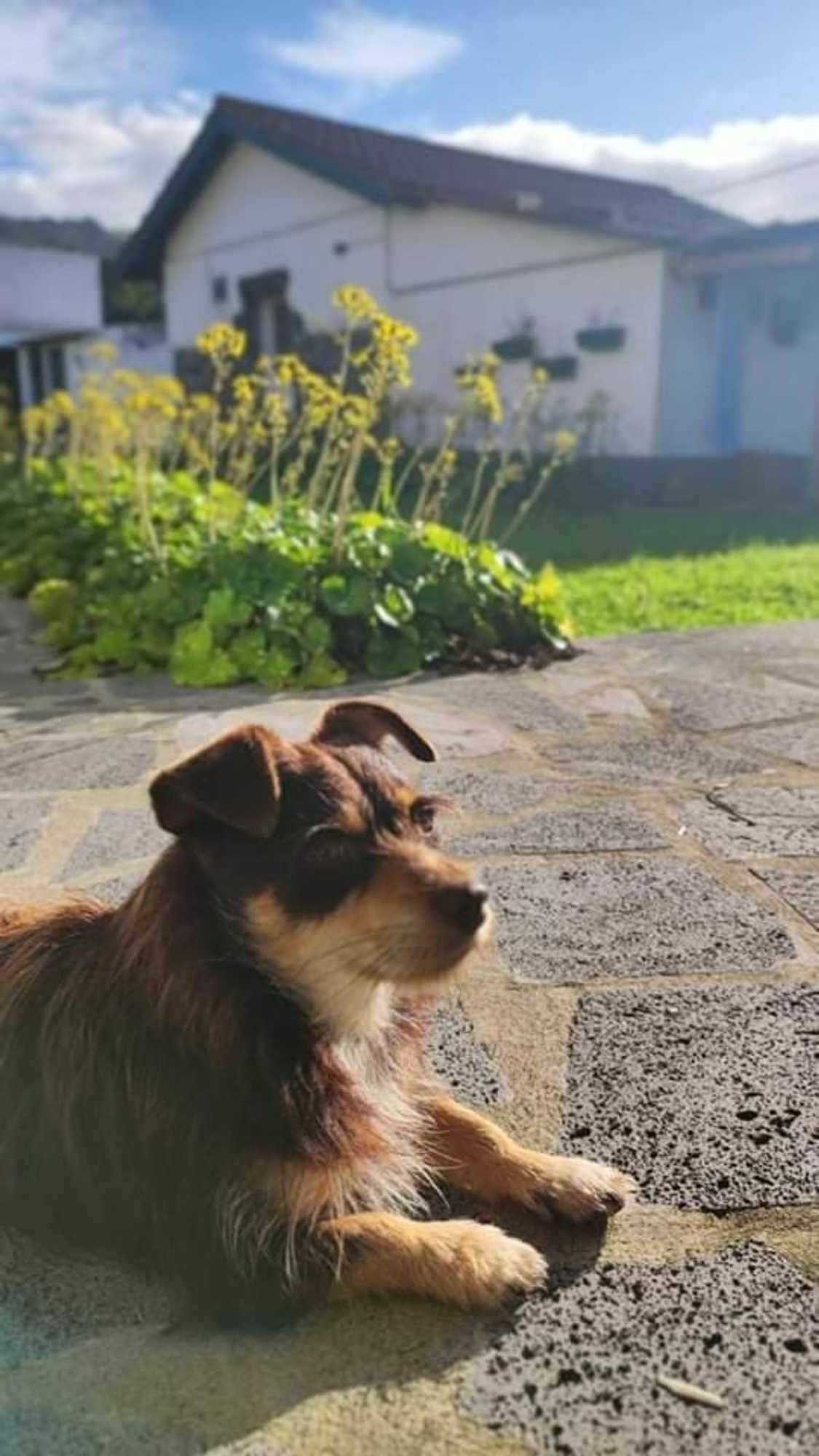 Gift card for Novovento