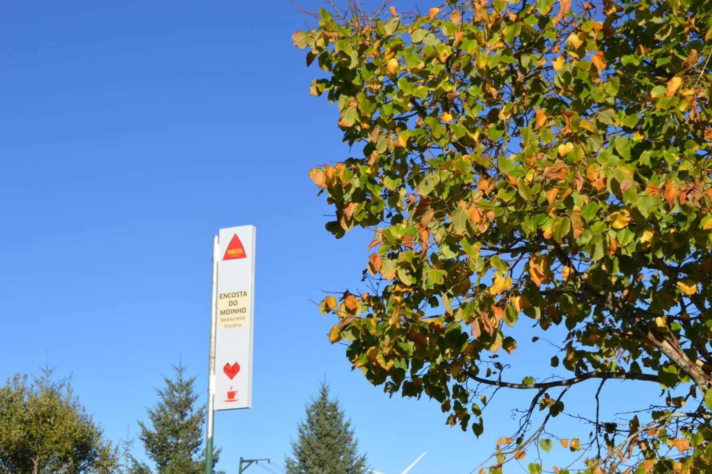 Gift card for Casas de Montanha da Gralheira