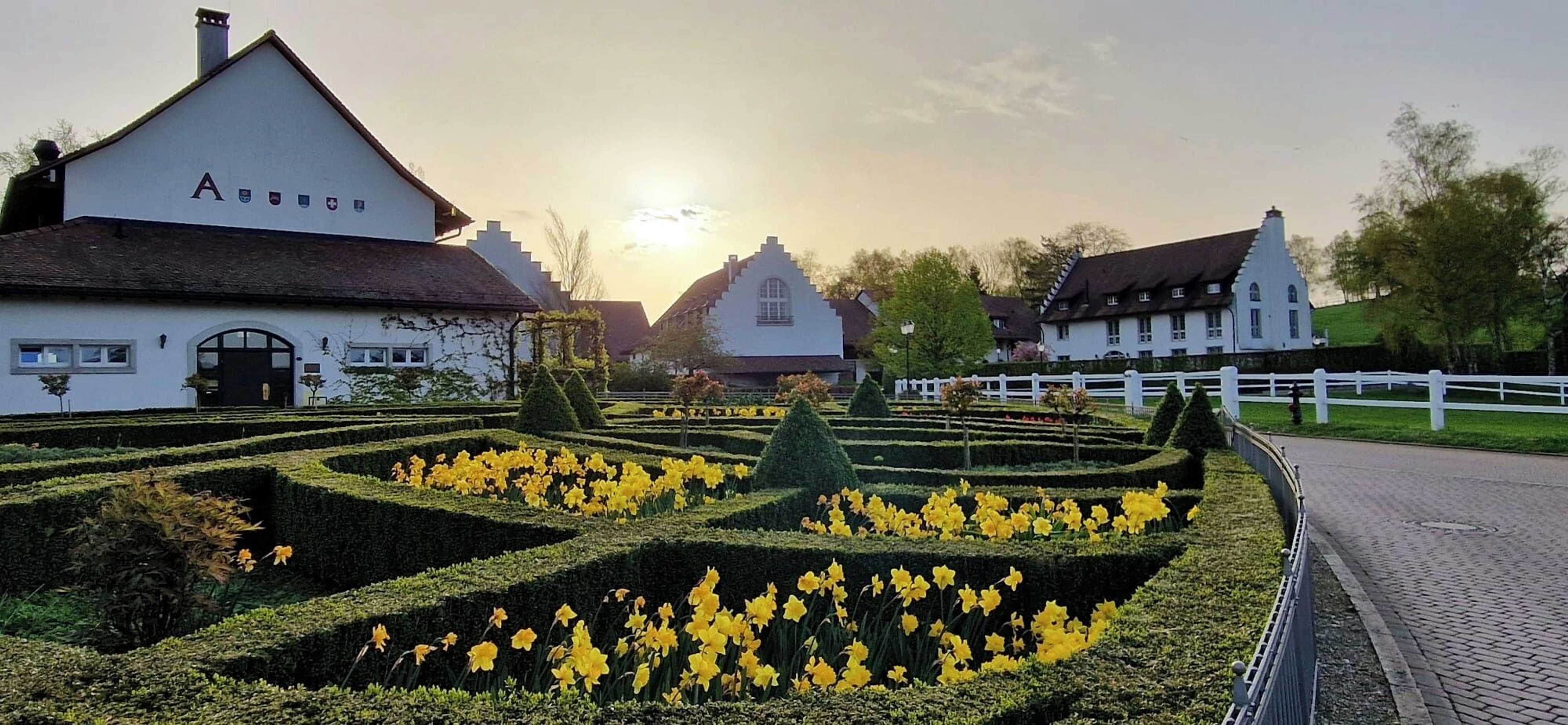 Gift card for Hofgut Albführen