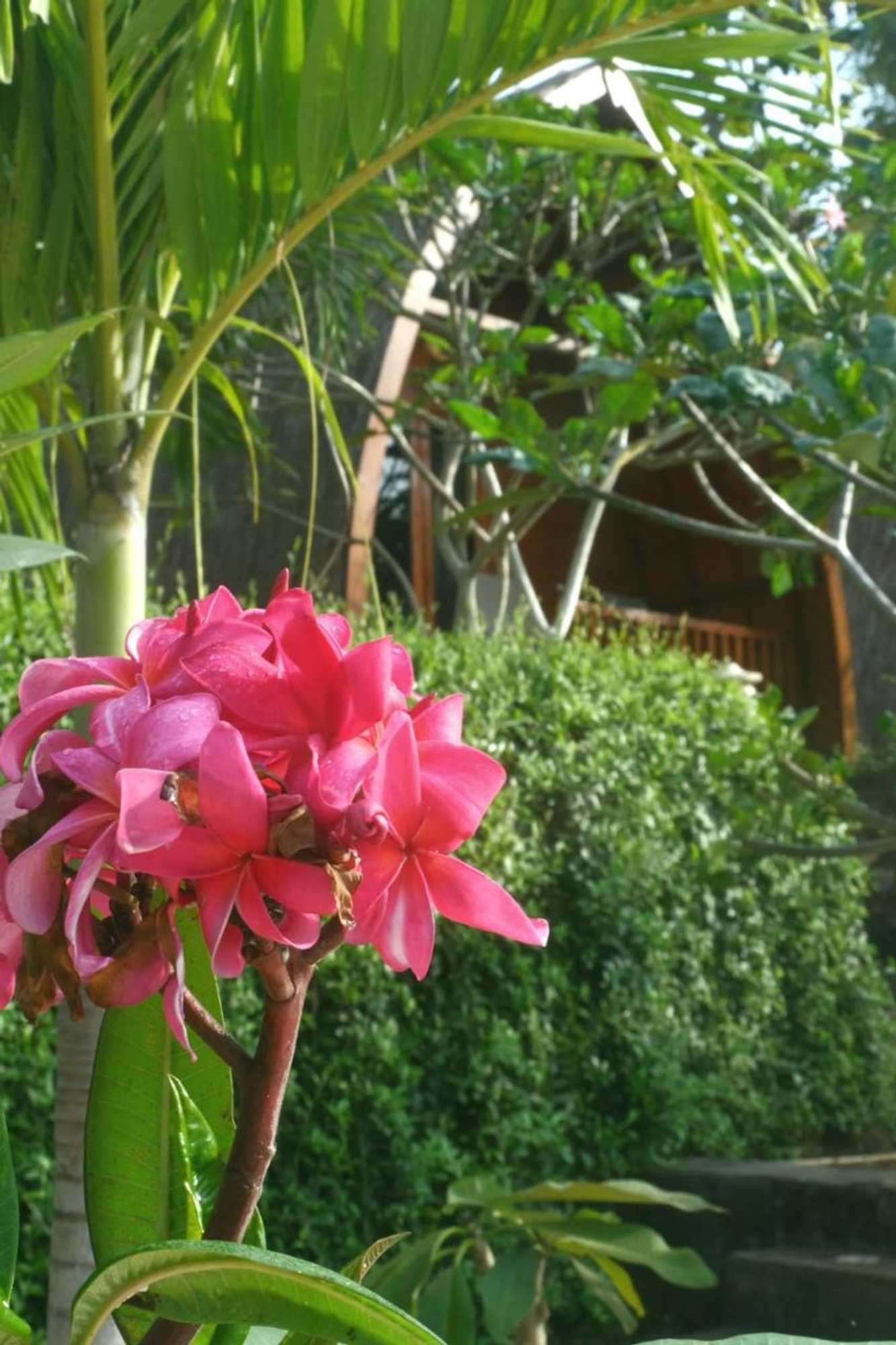 Gift card for Light Blue Villa