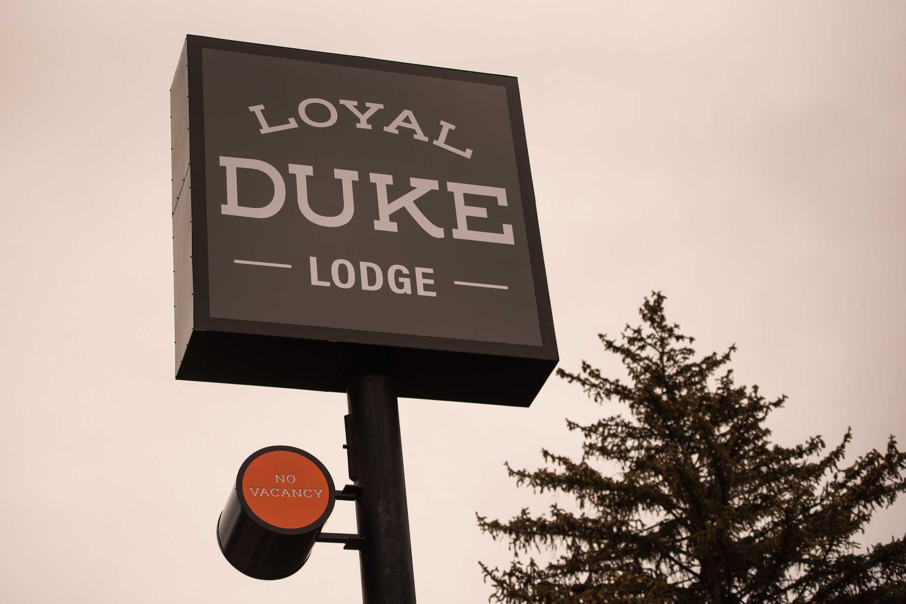 Gift card for Loyal Duke Lodge Gift card for Loyal Duke Lodge