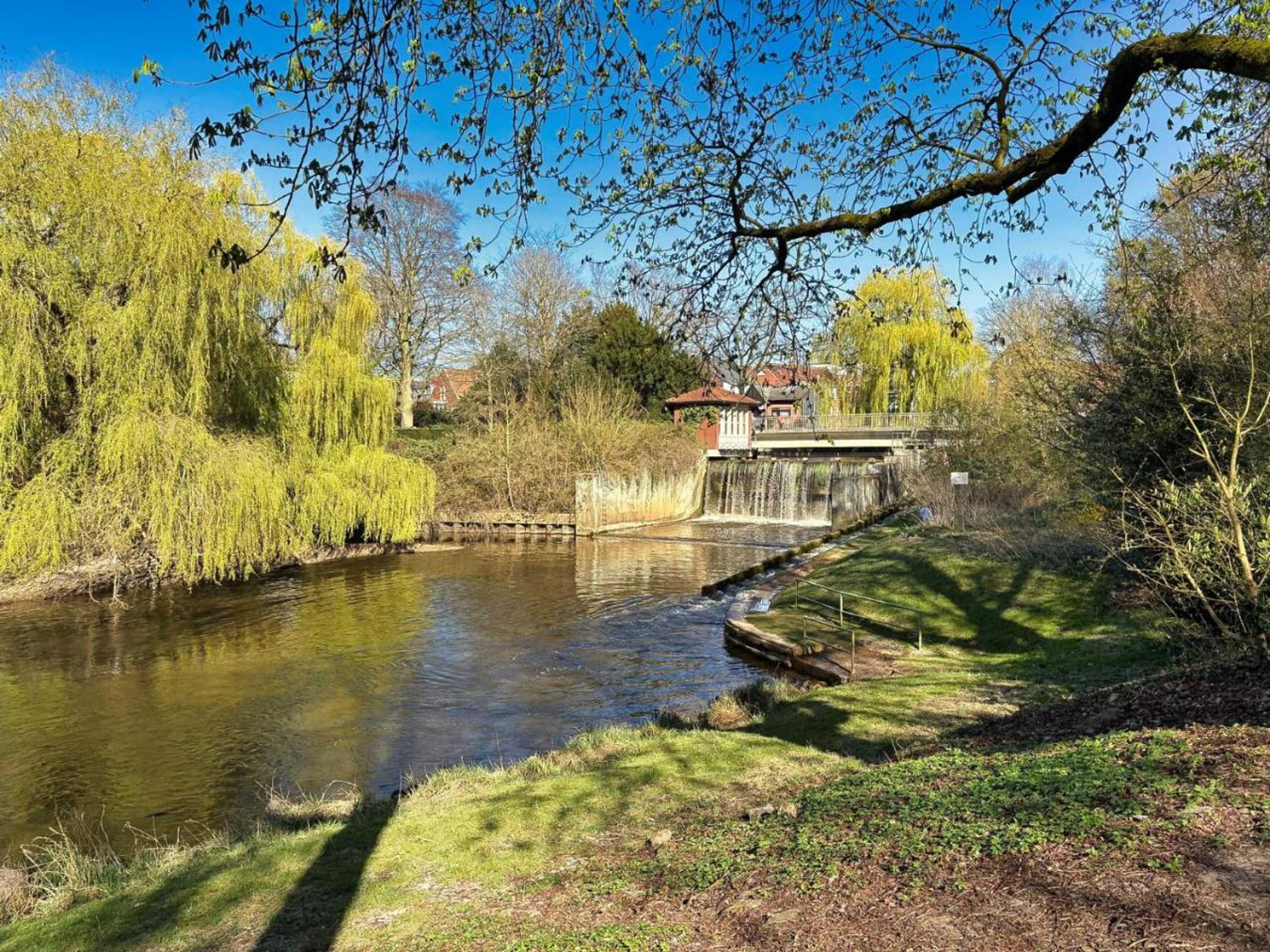 Gift card for Nino-Boardinghouse 2