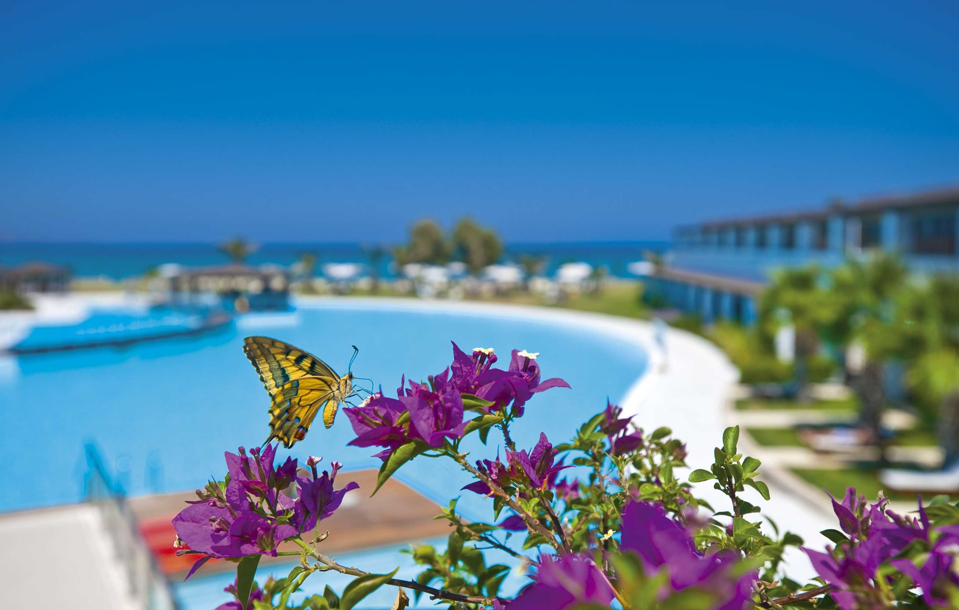 Gift card for Giannoulis – Cavo Spada Luxury Sports & Leisure Resort & Spa Gift card for Giannoulis – Cavo Spada Luxury Sports & Leisure Resort & Spa