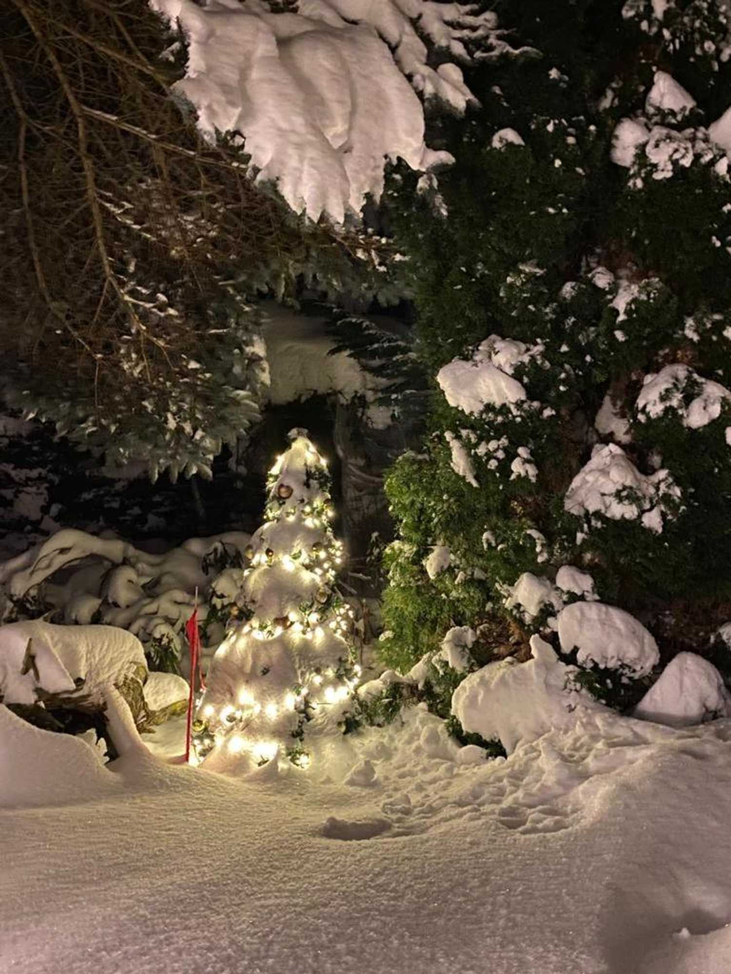 Gift card for Pension Roklan