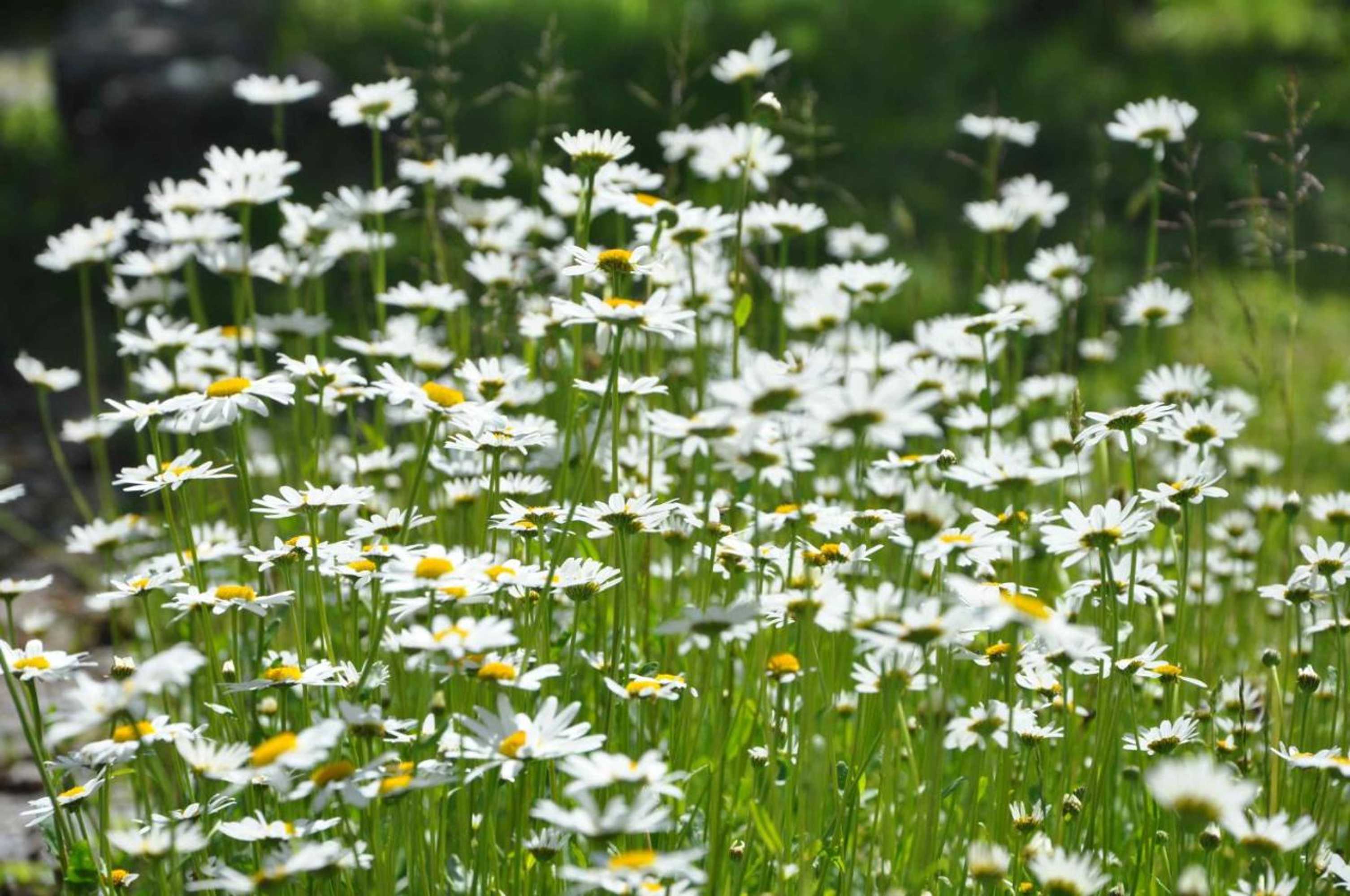 Gift card for Bed And Breakfast Bavaria München