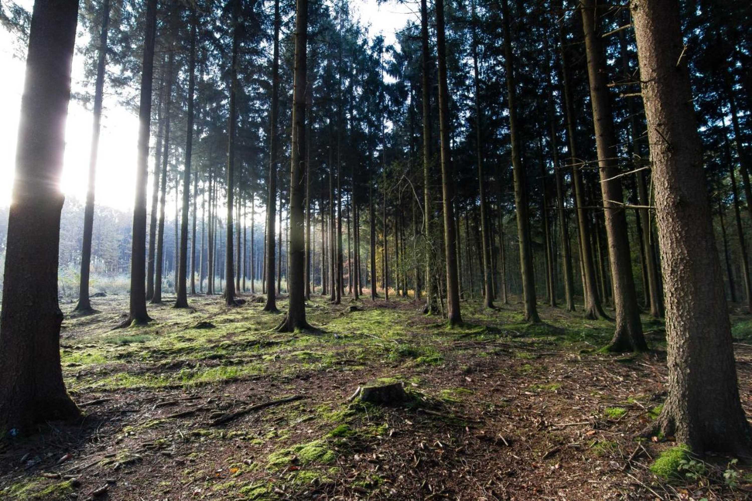 Gift card for Hotel Cuba Libre