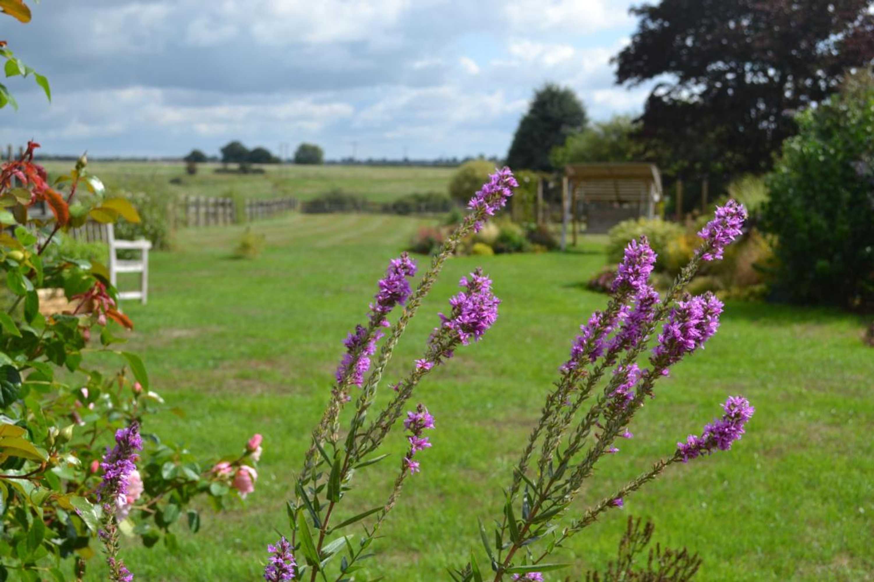 Gift card for Two Hoots Bed And Breakfast