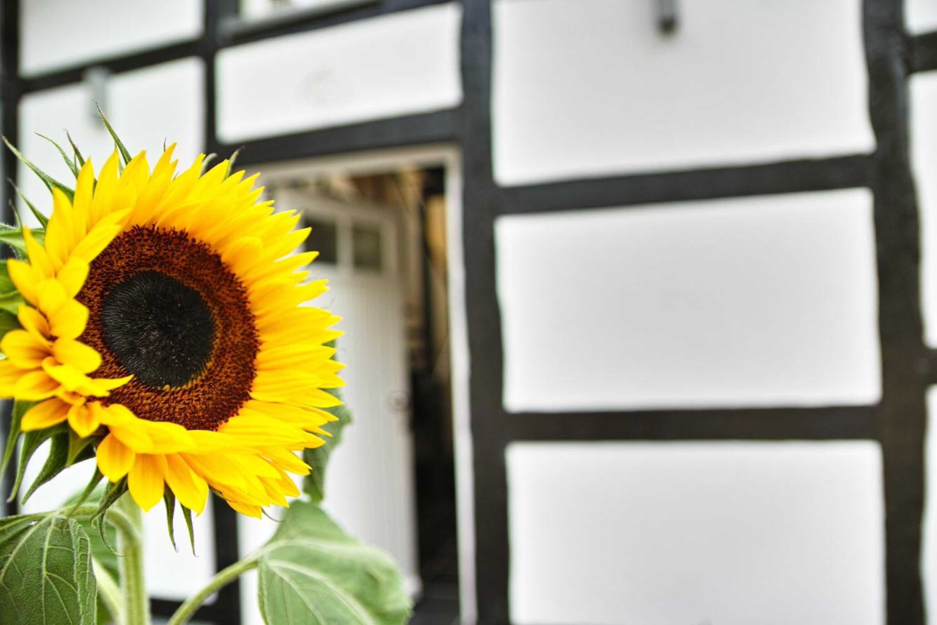 Gift card for Kragemann Hotel & Vinothek