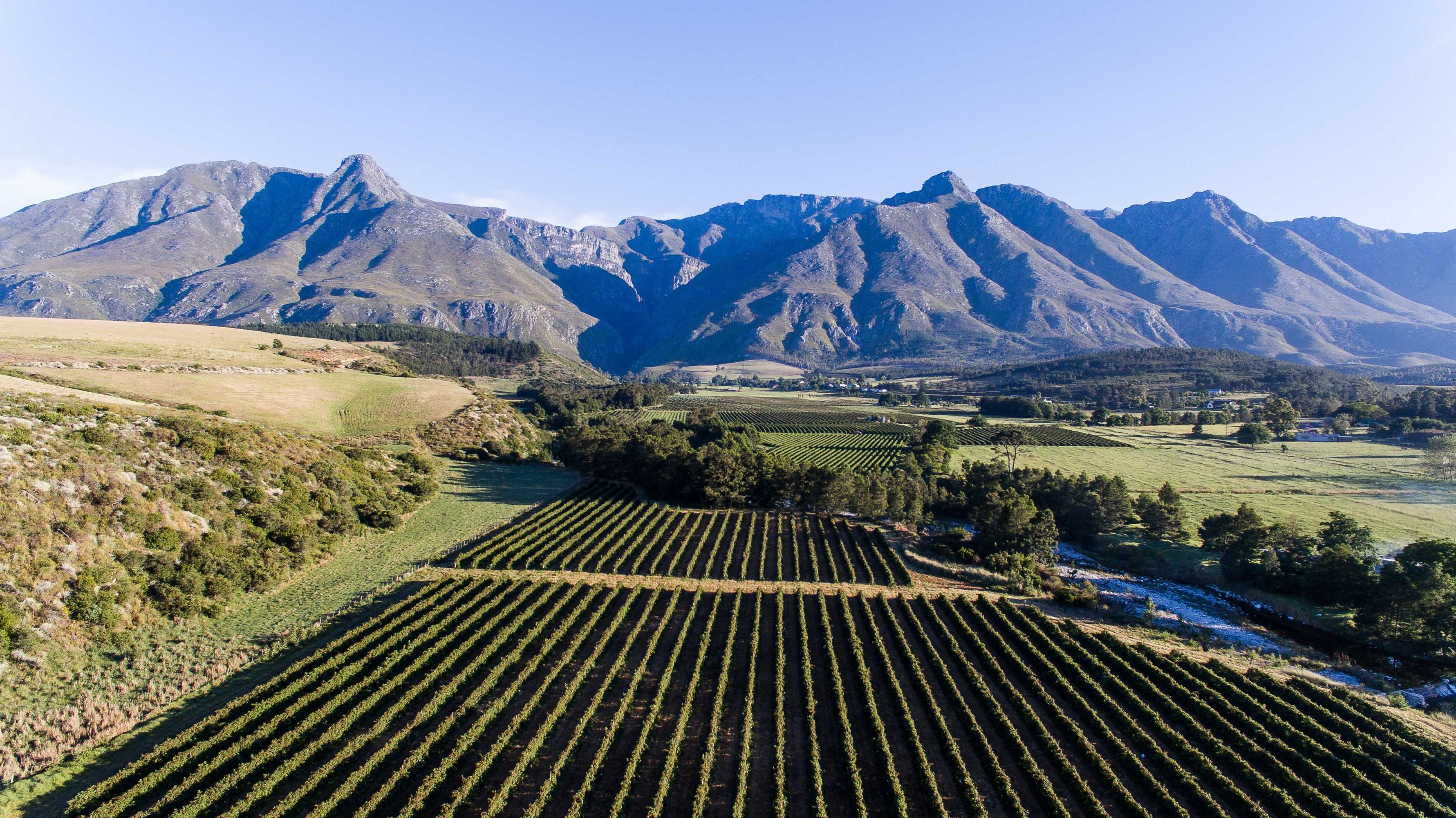 Gift card for Wildebraam Berry Estate Gift card for Wildebraam Berry Estate