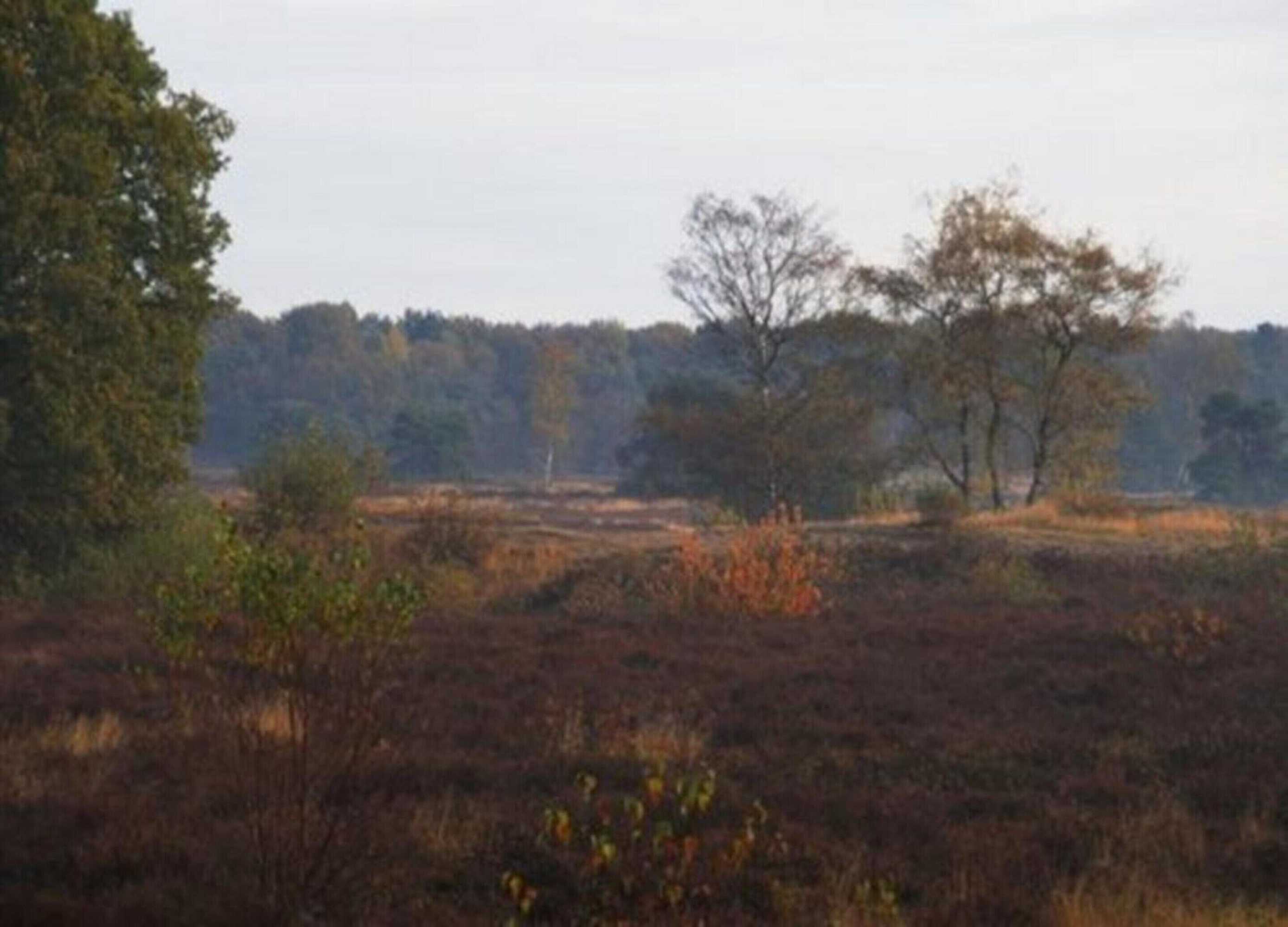 Gift card for Villa in Sandberghe With Sauna And Comfort