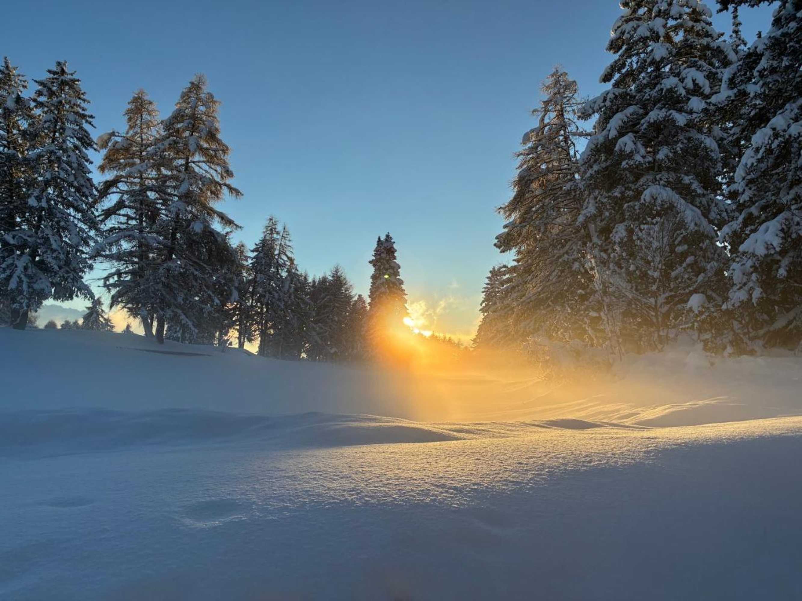 Gift card for Sport Palace