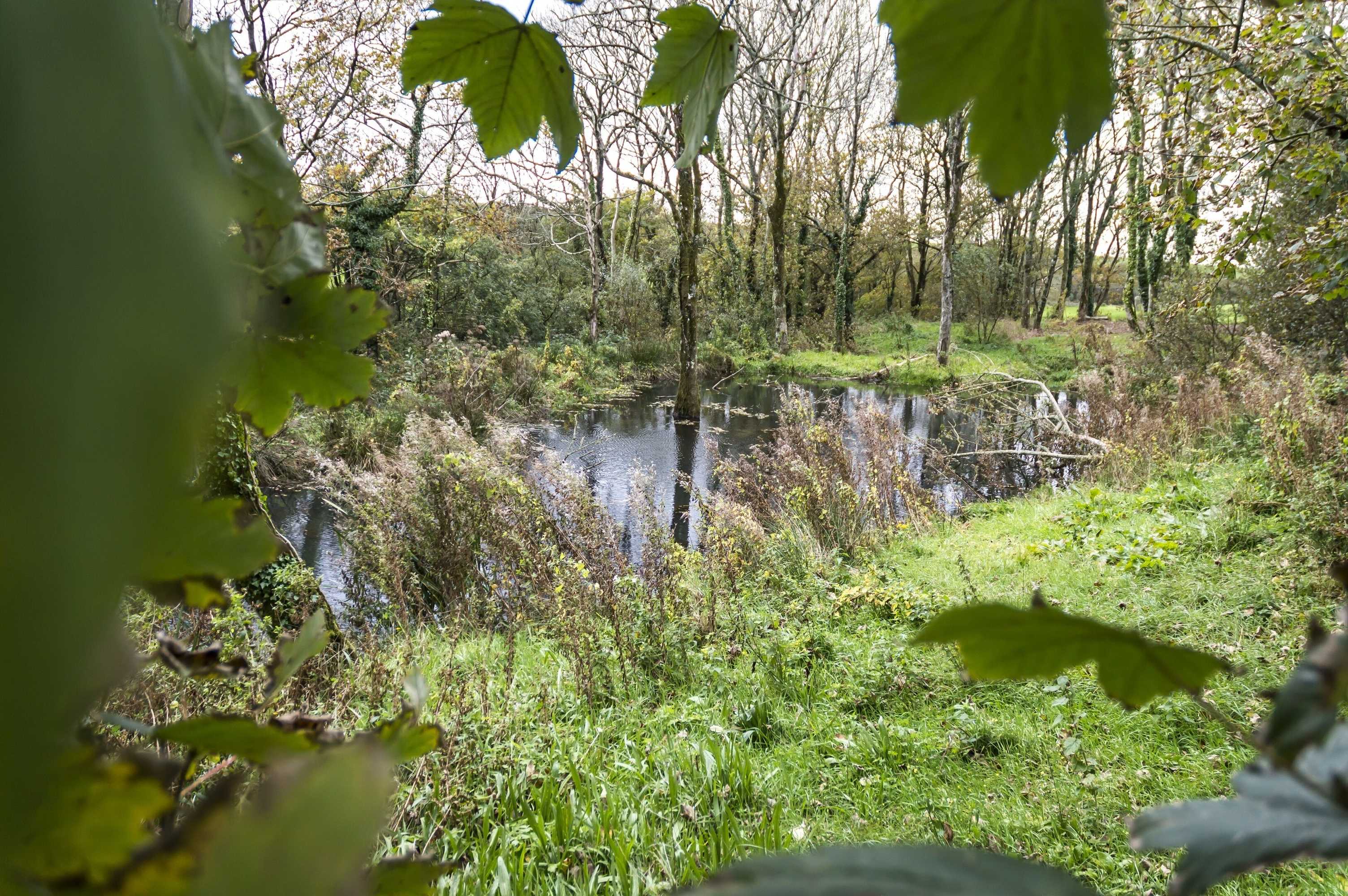 Gift card for Lavender - Luxurious Barn Conversion