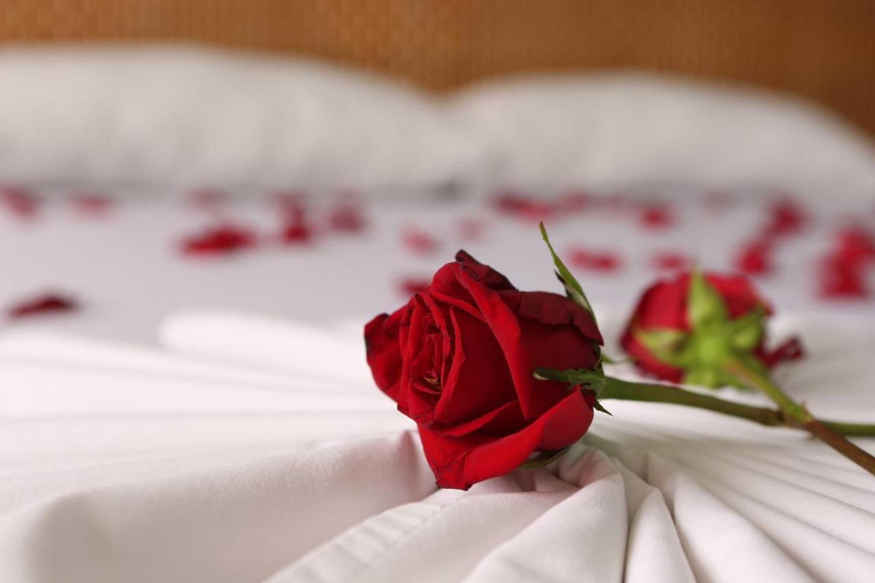 Gift card for Hotel Anamichu Suites