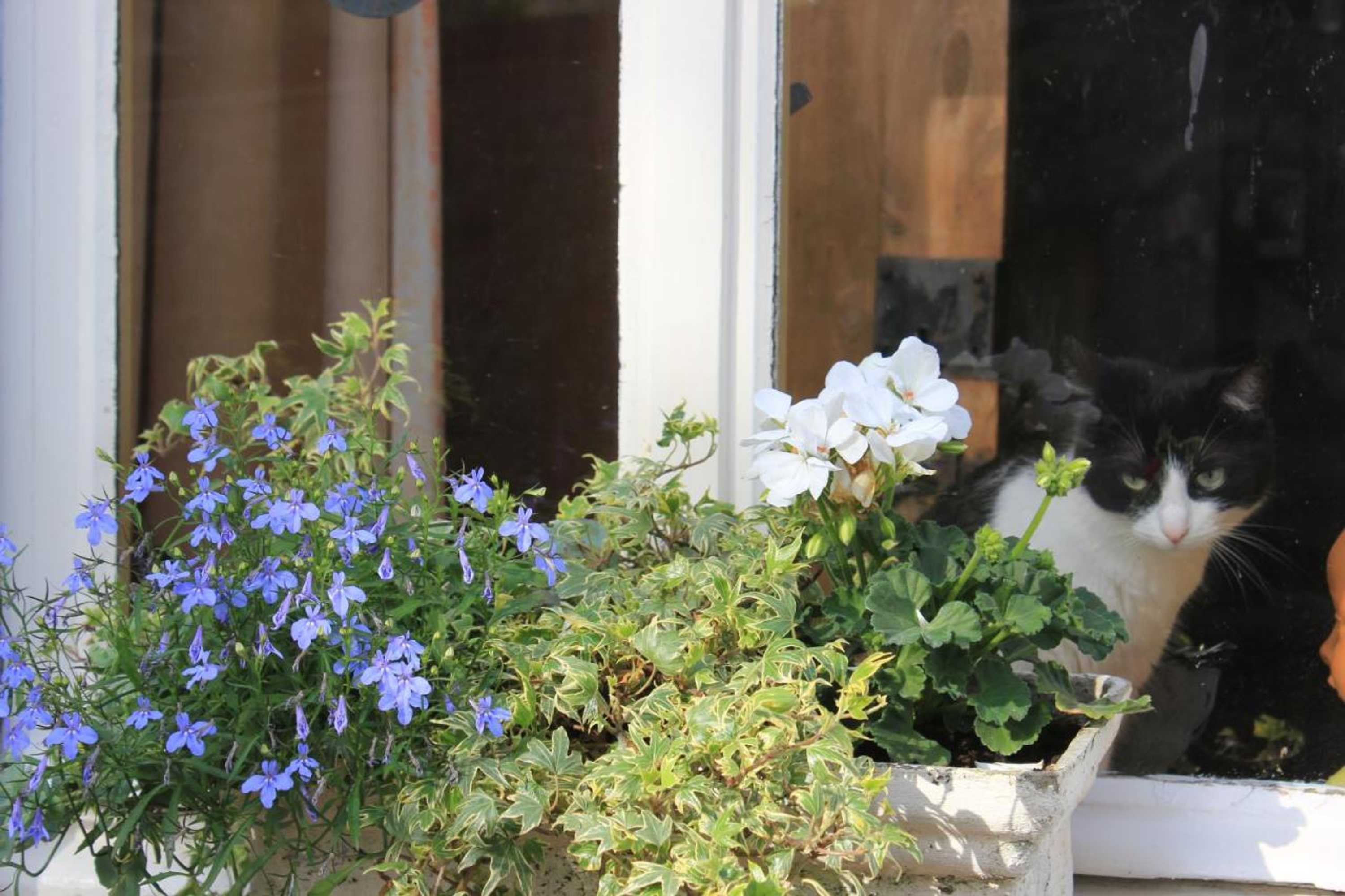 Gift card for La Passiflore B&b