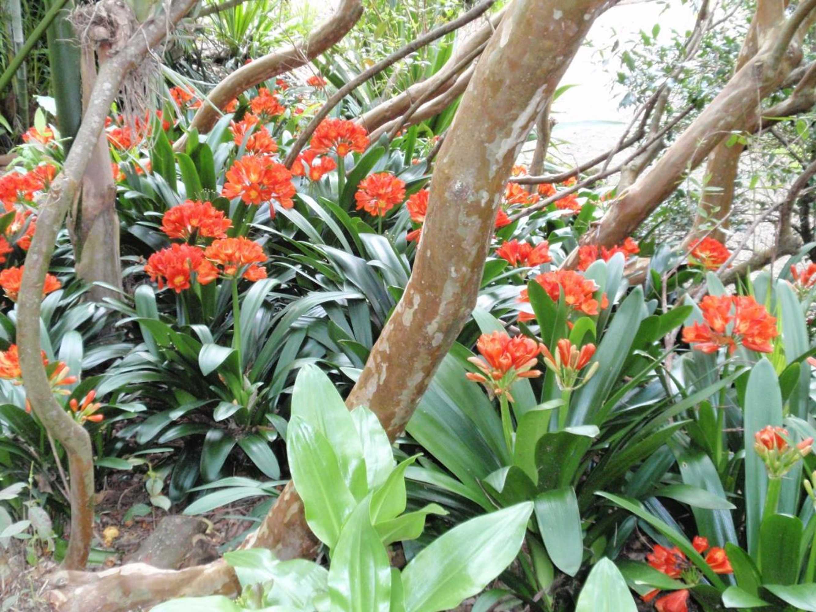 Gift card for Wharepuke Subtropical Accommodation Gift card for Wharepuke Subtropical Accommodation