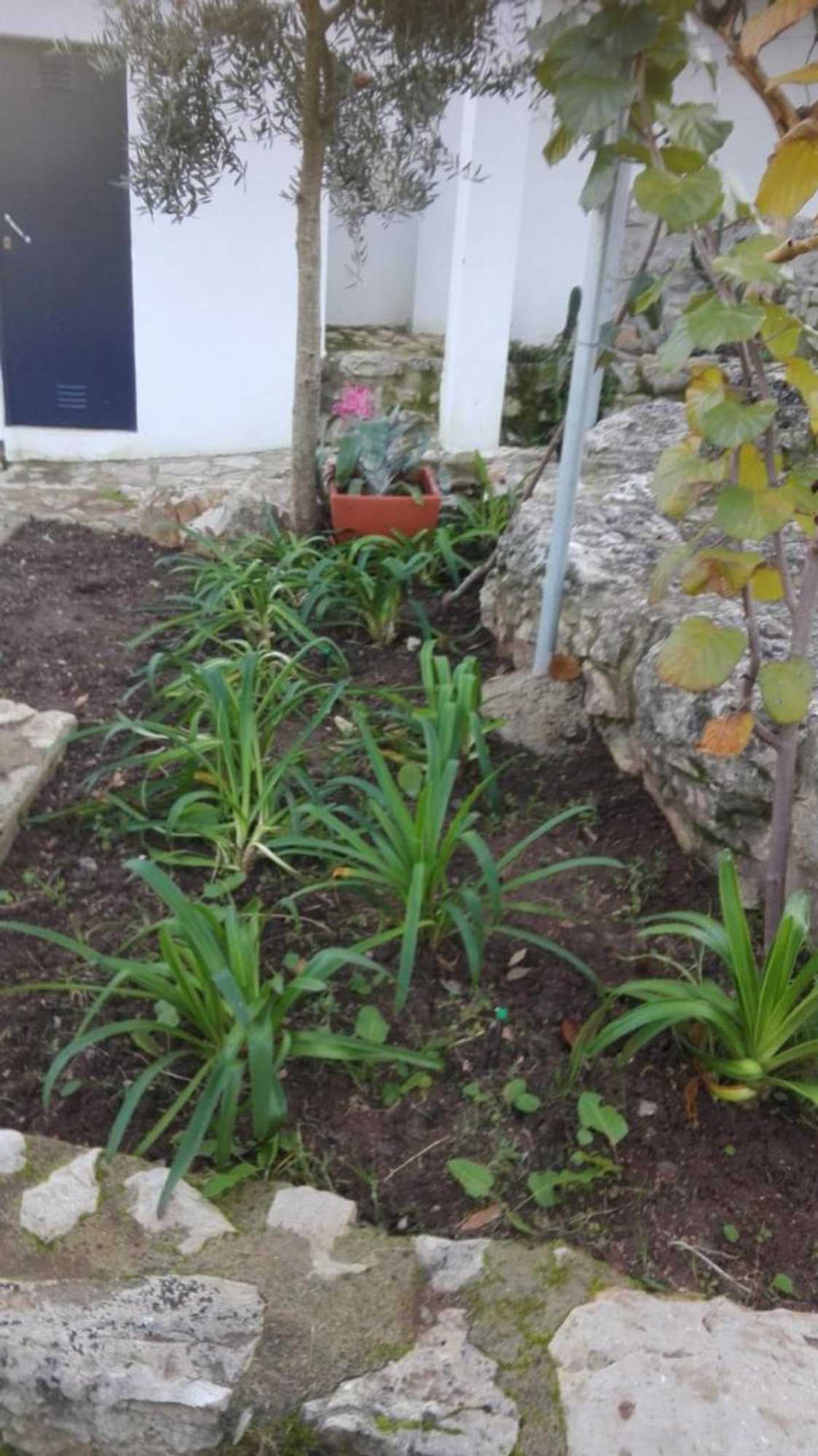 Gift card for Villa Santo Antonio