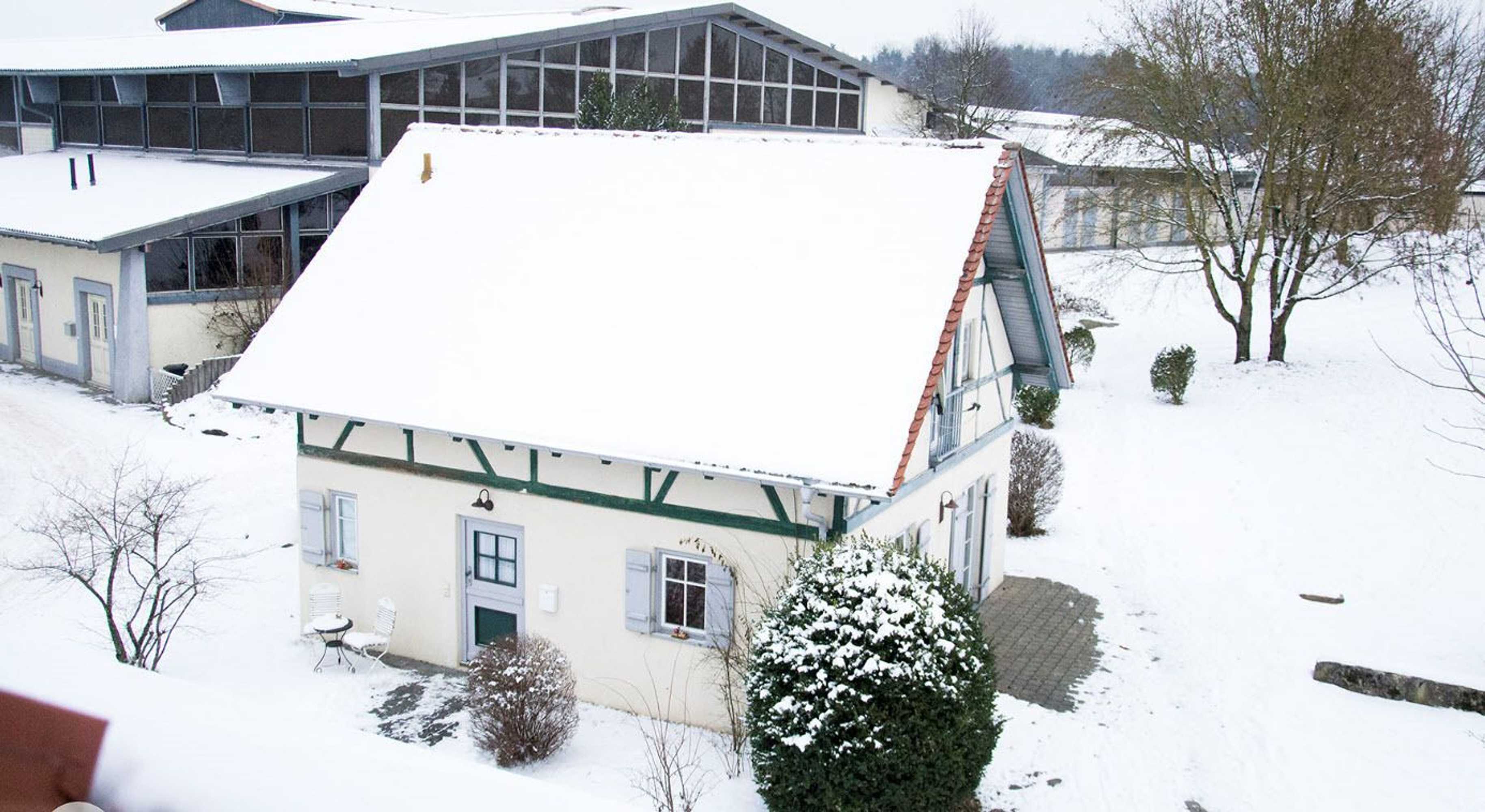 Gift card for Schnyder Ranch