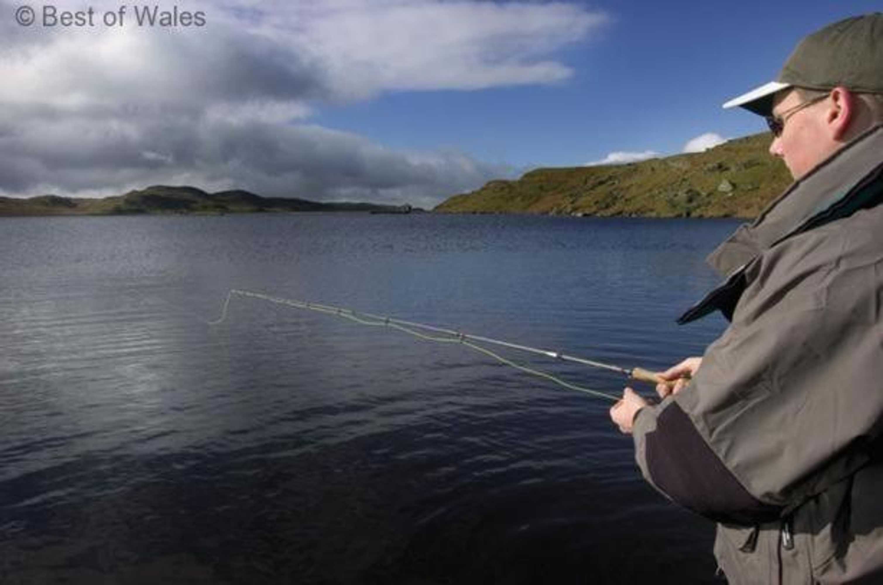 Gift card for Stabal Llew Coch