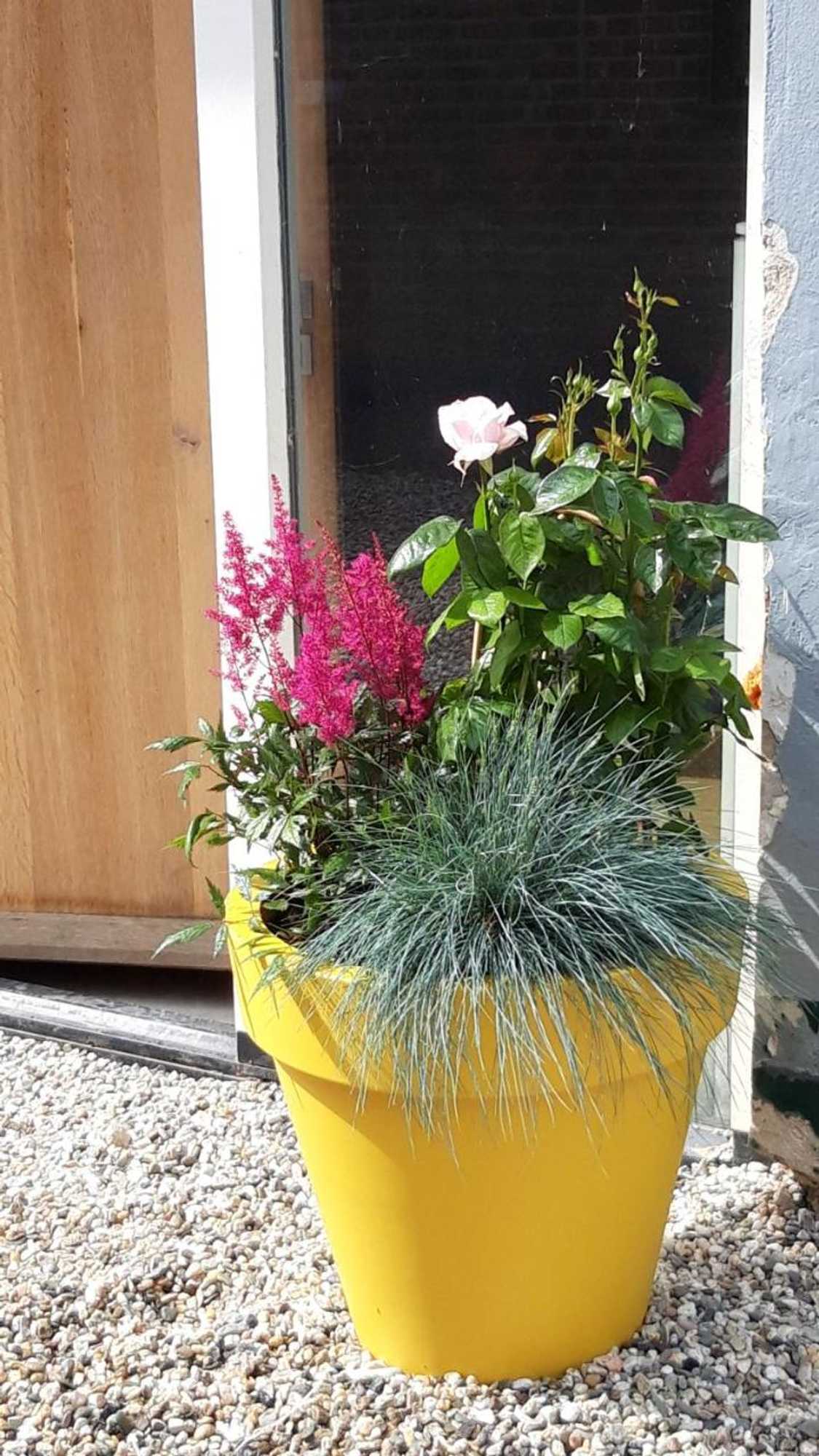 Gift card for Kade10buren