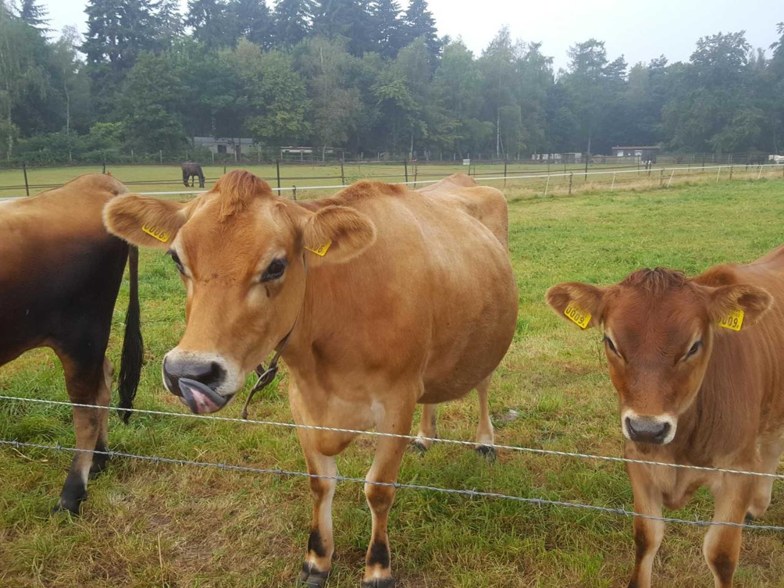 Gift card for De Priesnitzhoeve