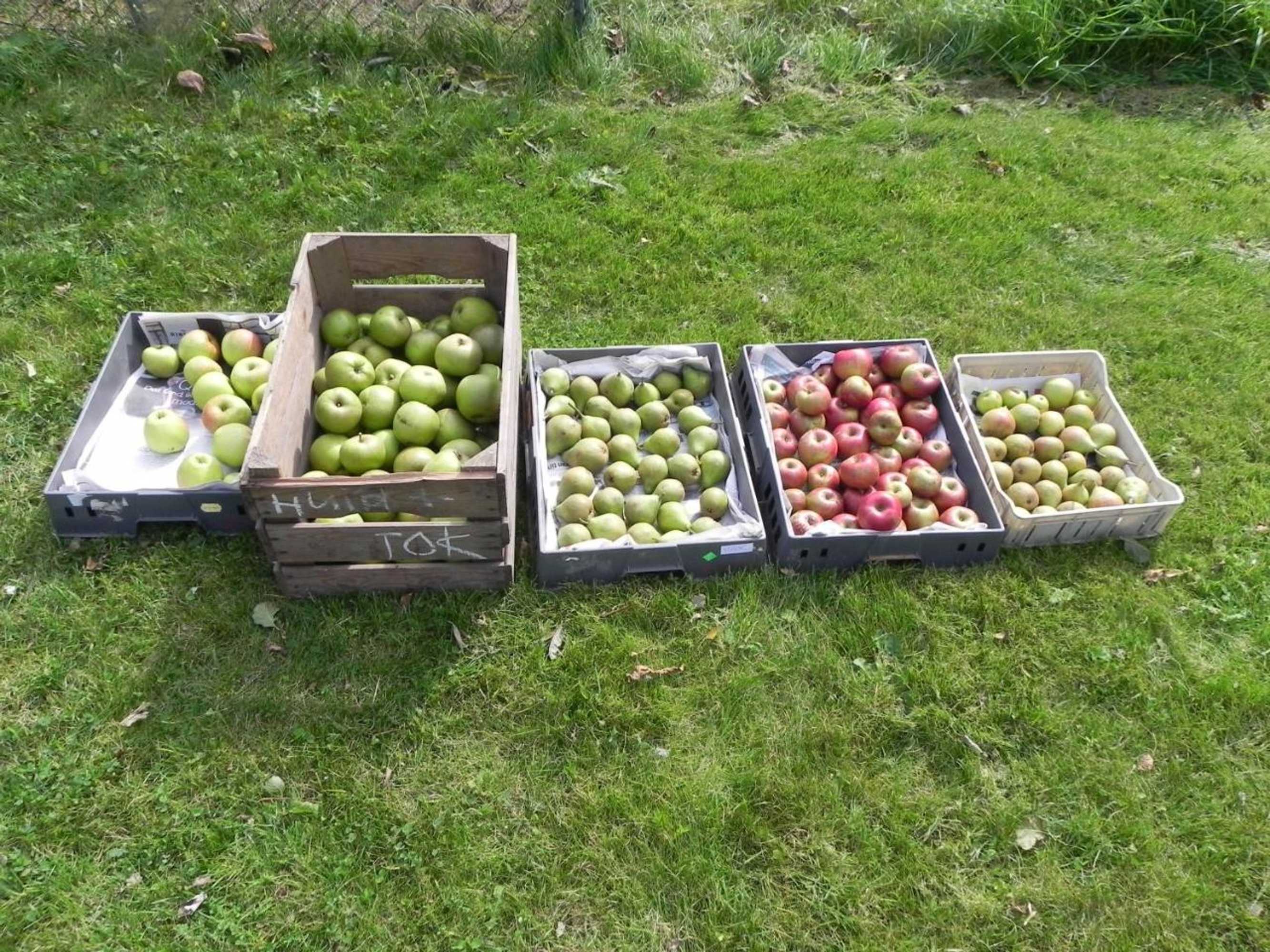 Gift card for Appels en Peren Bed And Breakfast