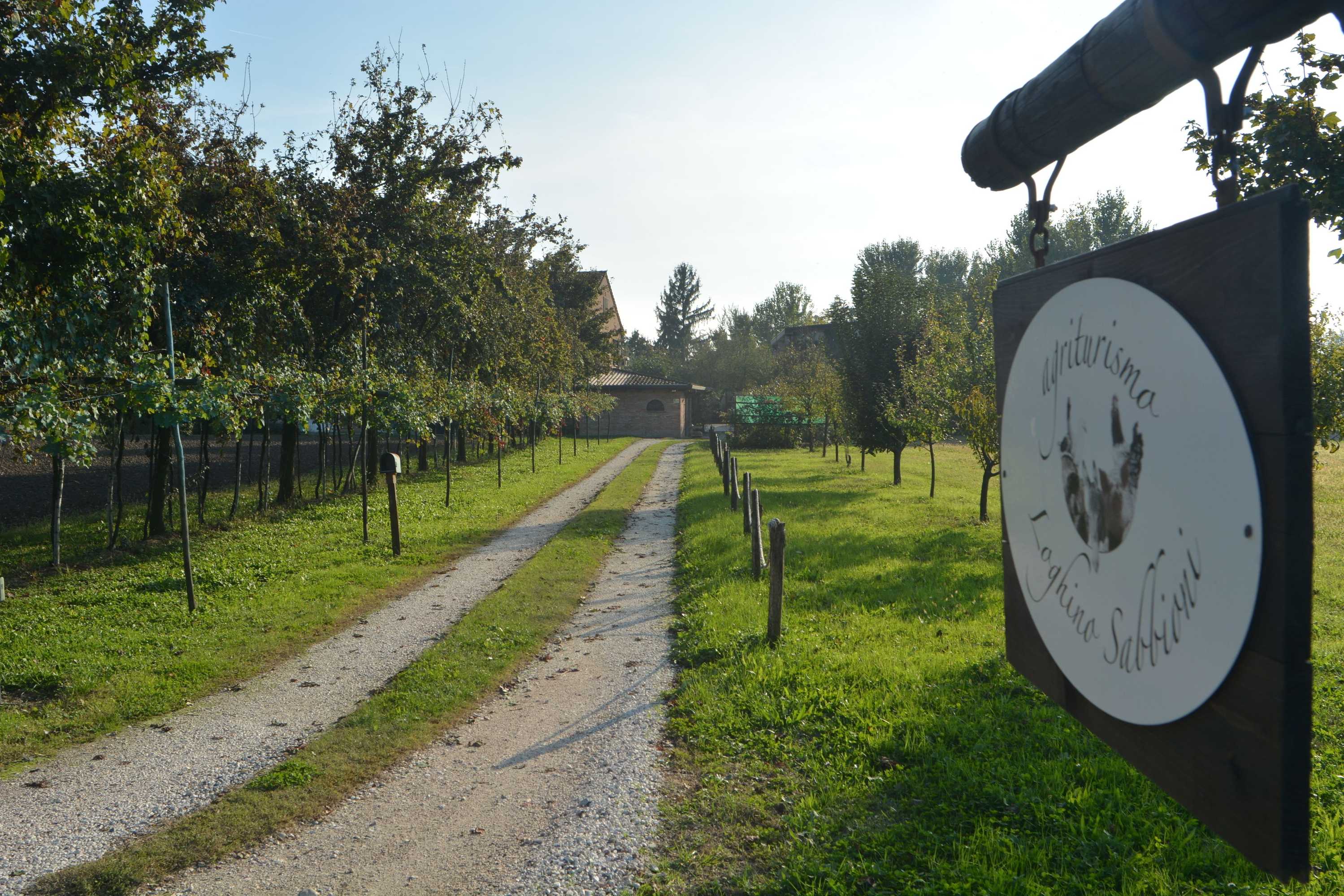 Gift card for Agriturismo Loghino Sabbioni