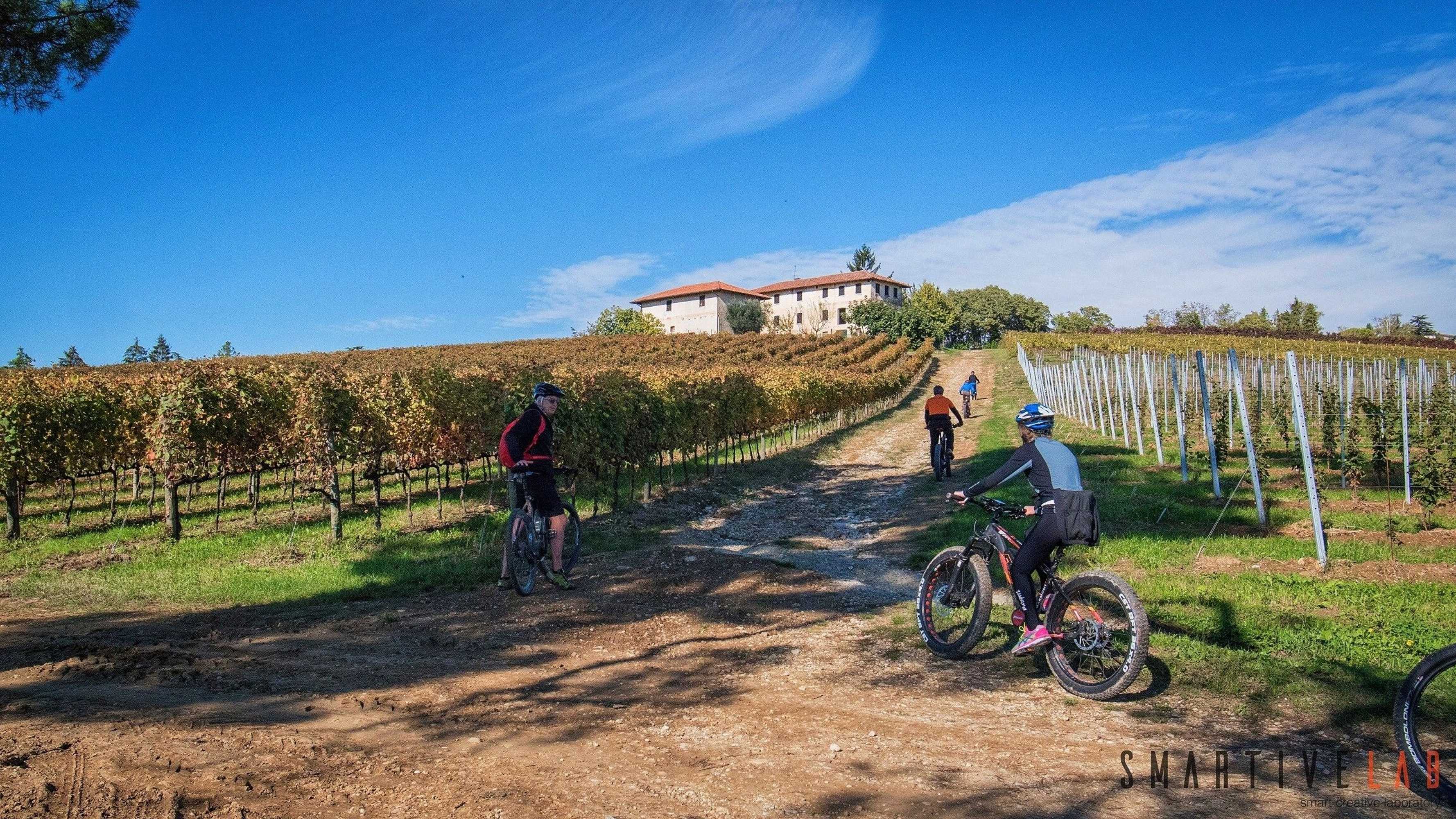 Gift card for Agriturismo Borgoluce Gift card for Agriturismo Borgoluce
